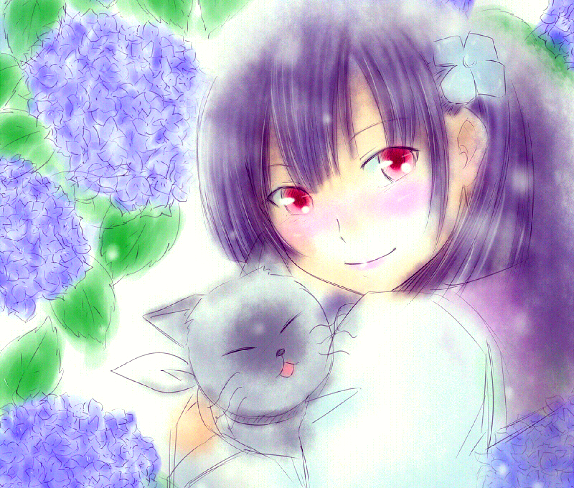 Girl with cat and hydrangeas HD Wallpaper