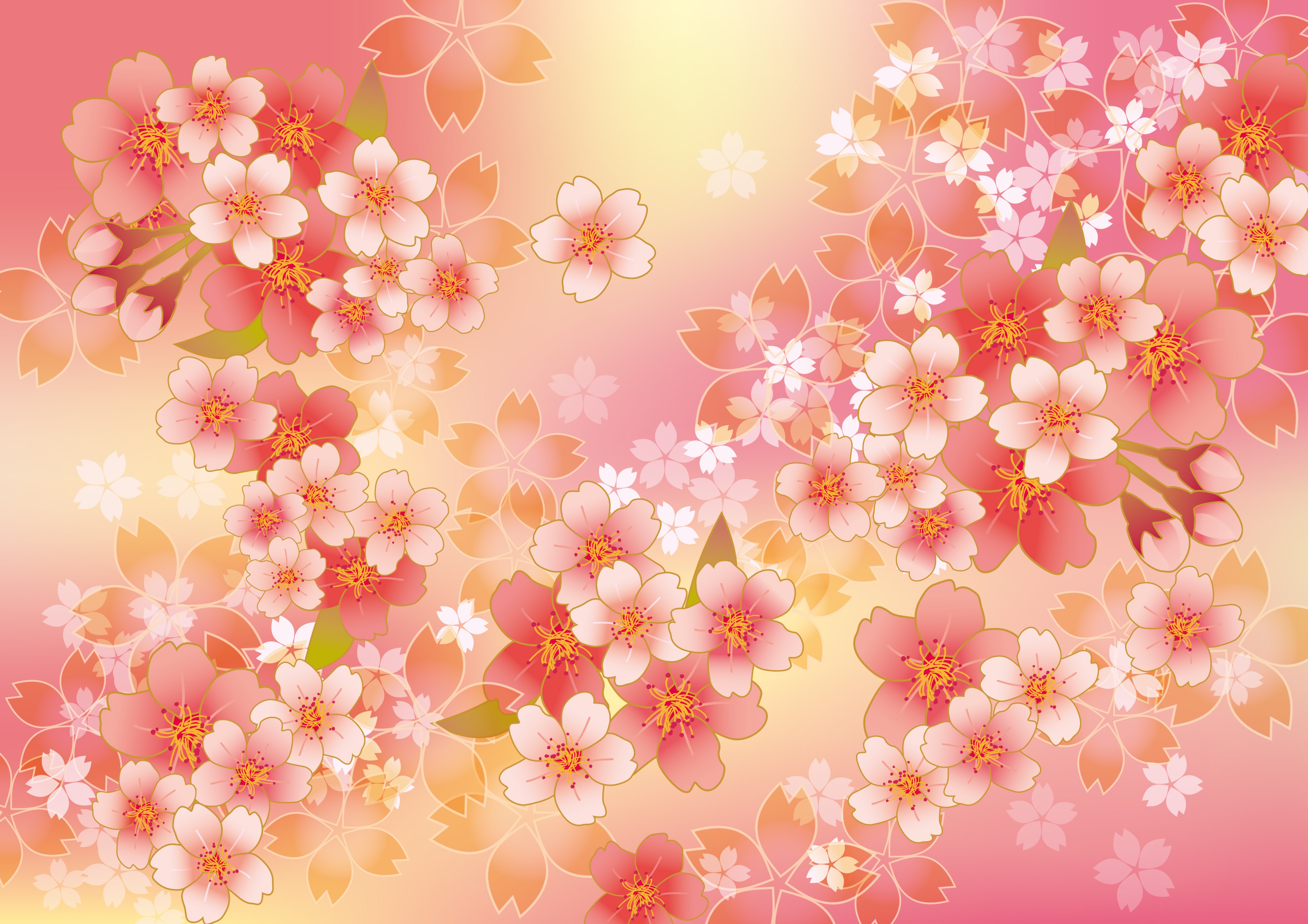 Pink cherry blossoms on a gradient background HD Wallpaper