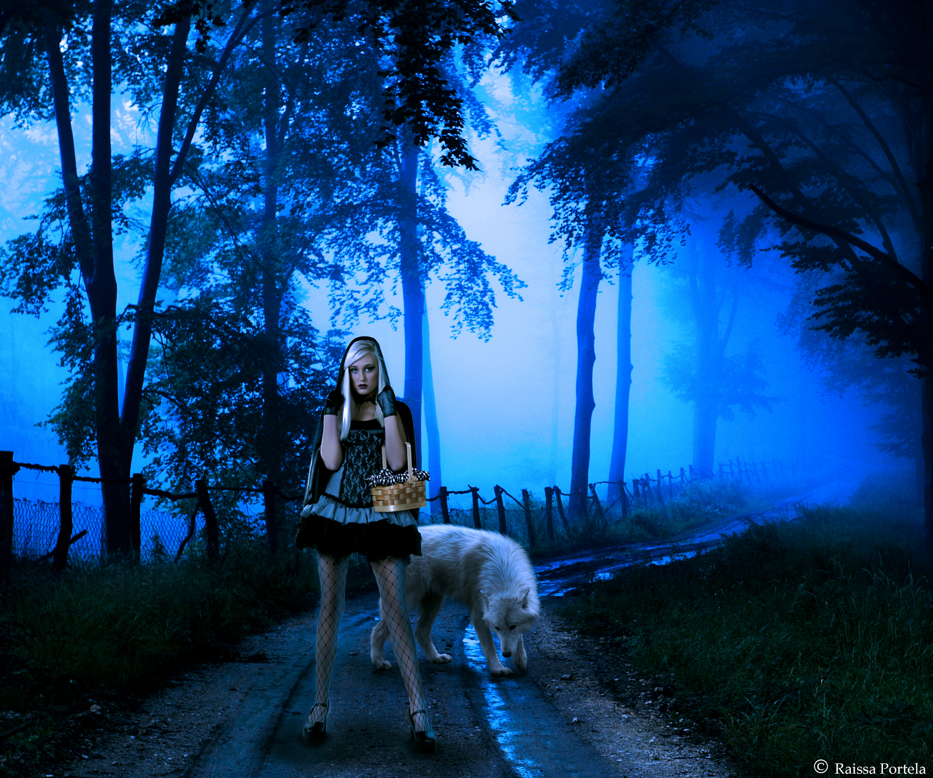 Red Riding Hood and wolf in a foggy forest HD Wallpaper