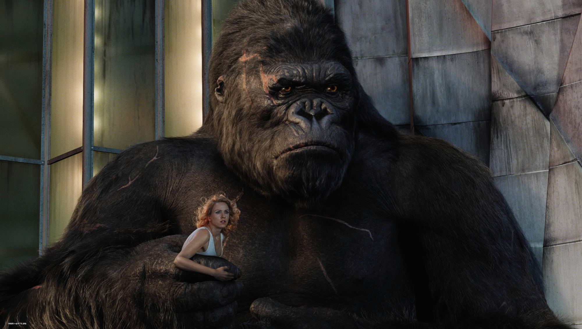 King Kong holding a woman HD Wallpaper