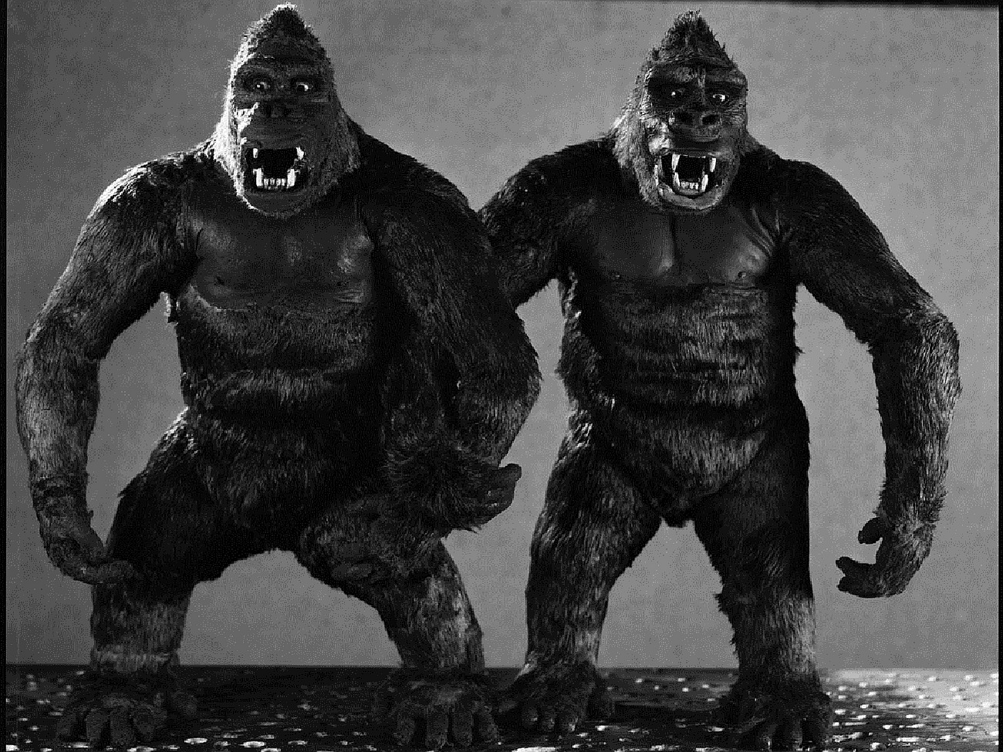 Two King Kong models standing HD Wallpaper
