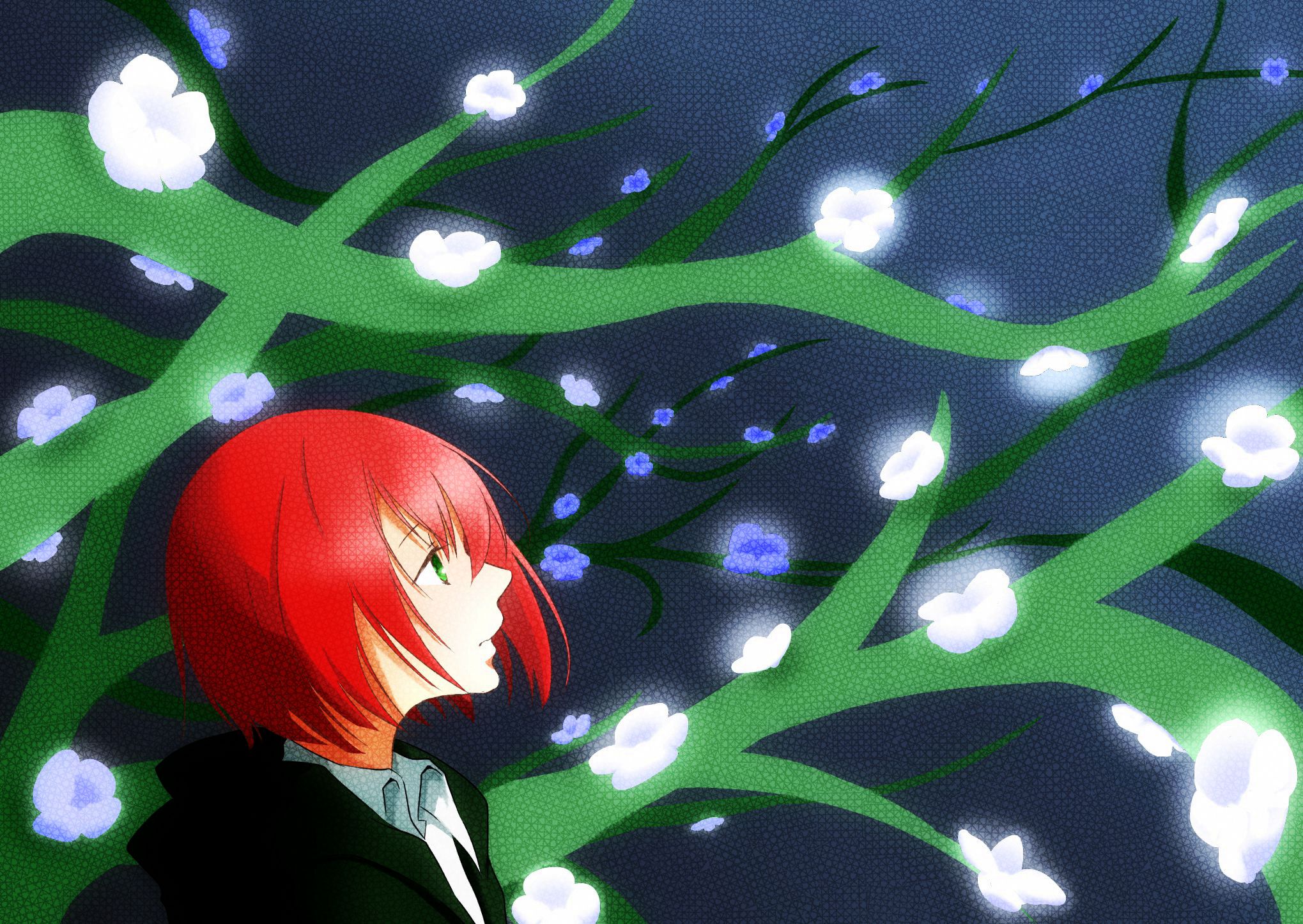 Chise Hatori in a magical forest HD Wallpaper