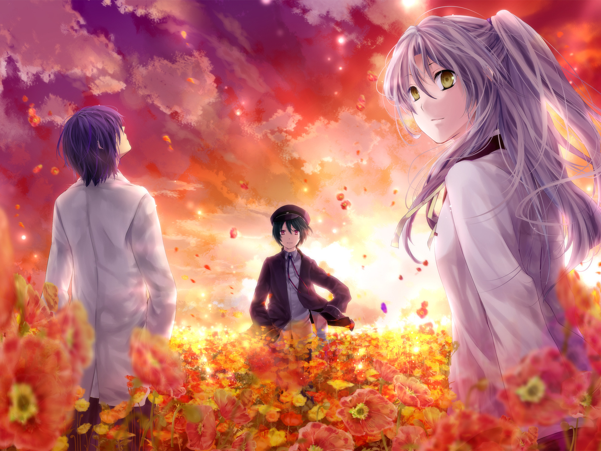 Ayato Naoi in a field of flowers HD Wallpaper