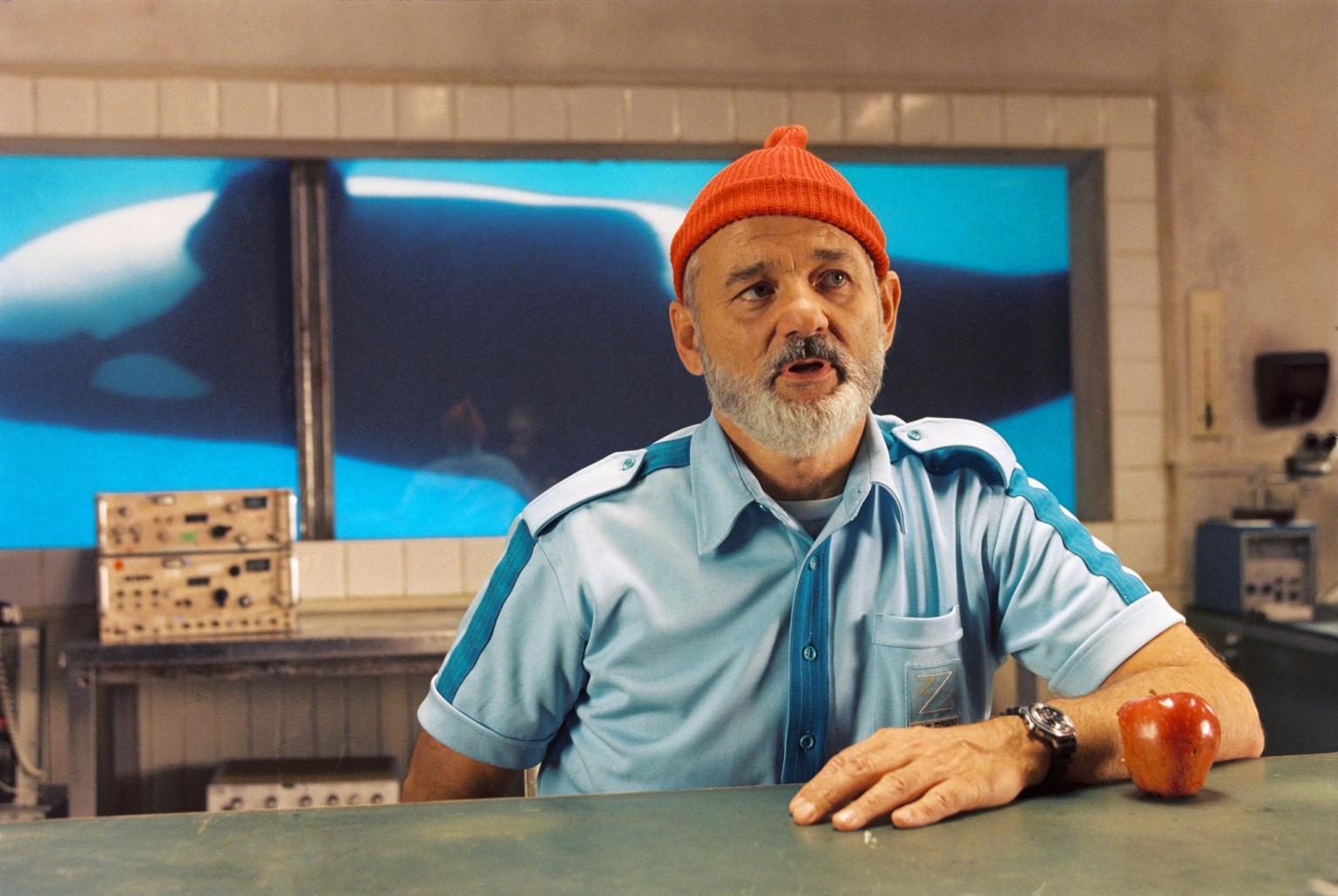 Bill Murray from The Life Aquatic with Steve Zissou HD Wallpaper