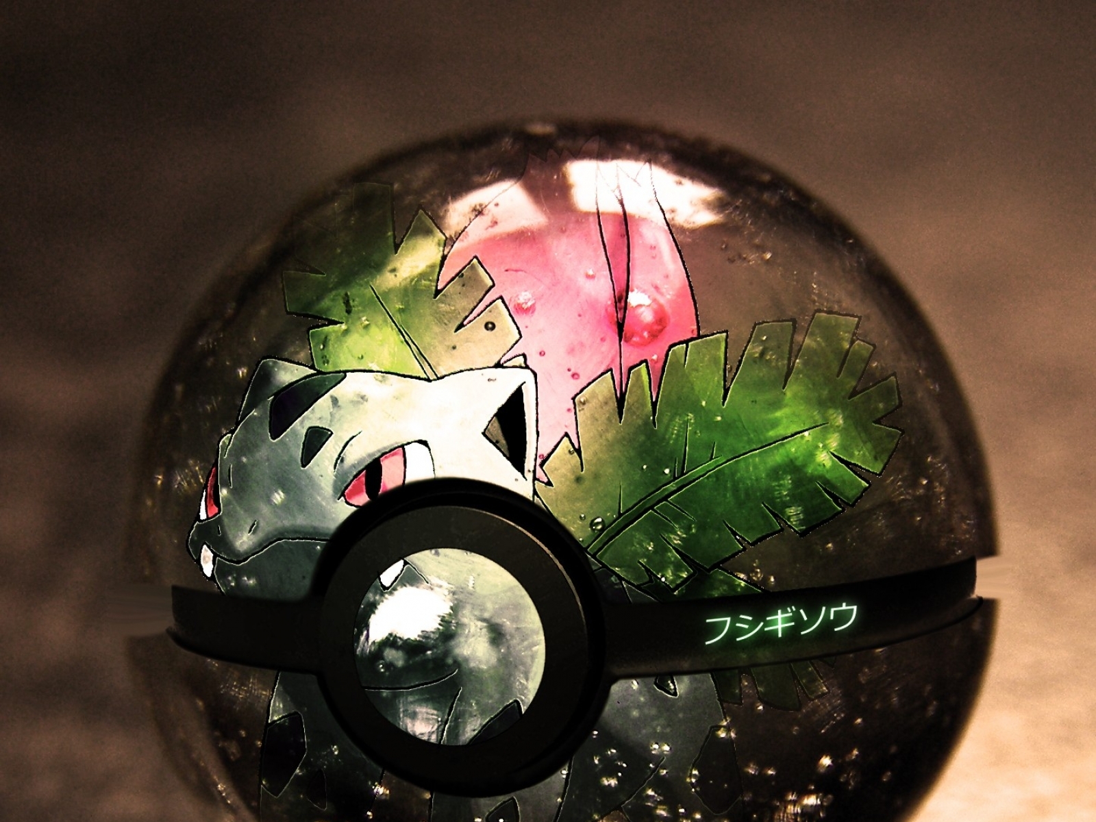 Bulbasaur inside a Poké Ball HD Wallpaper