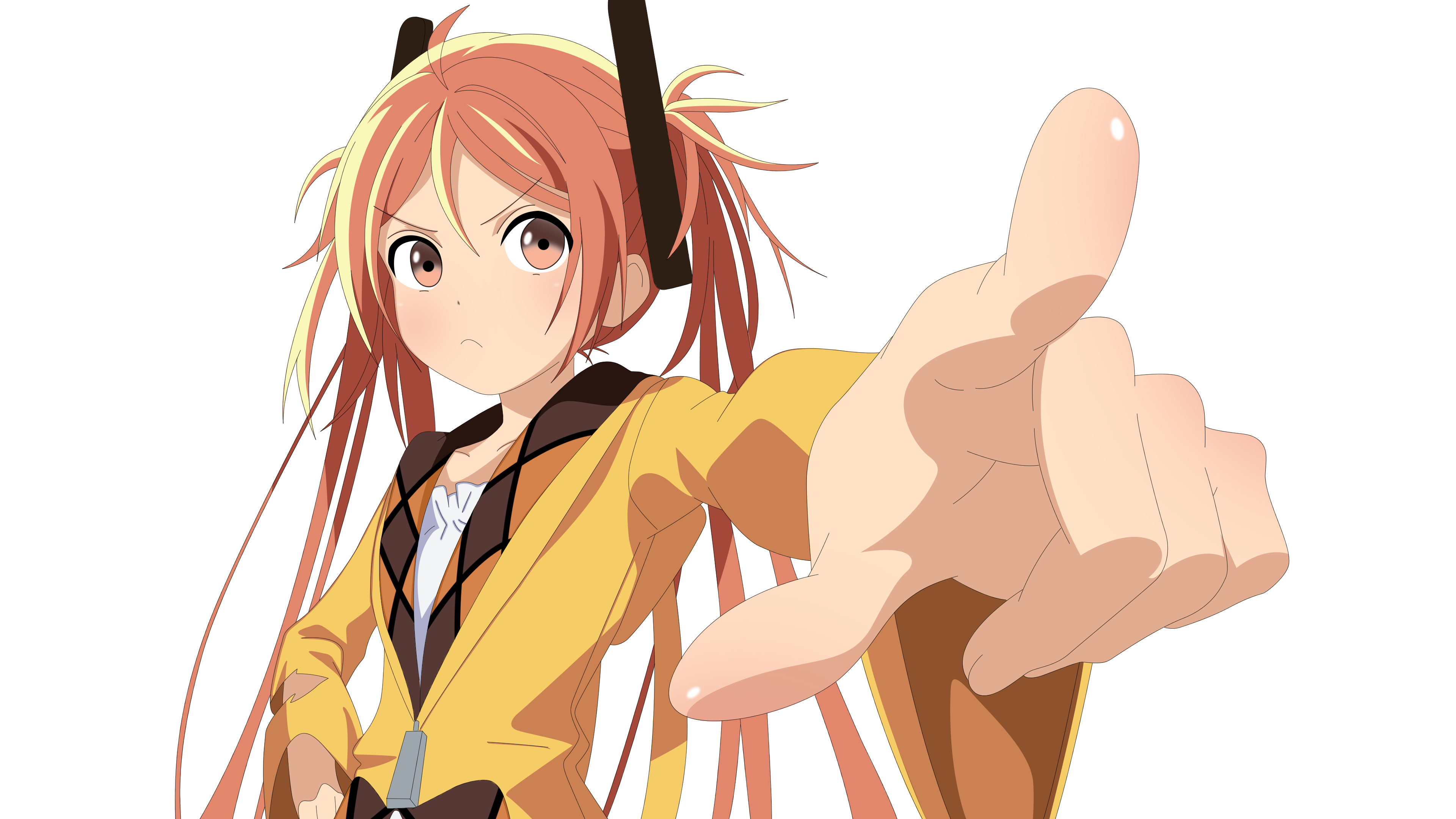 Enju Aihara from Black Bullet HD Wallpaper