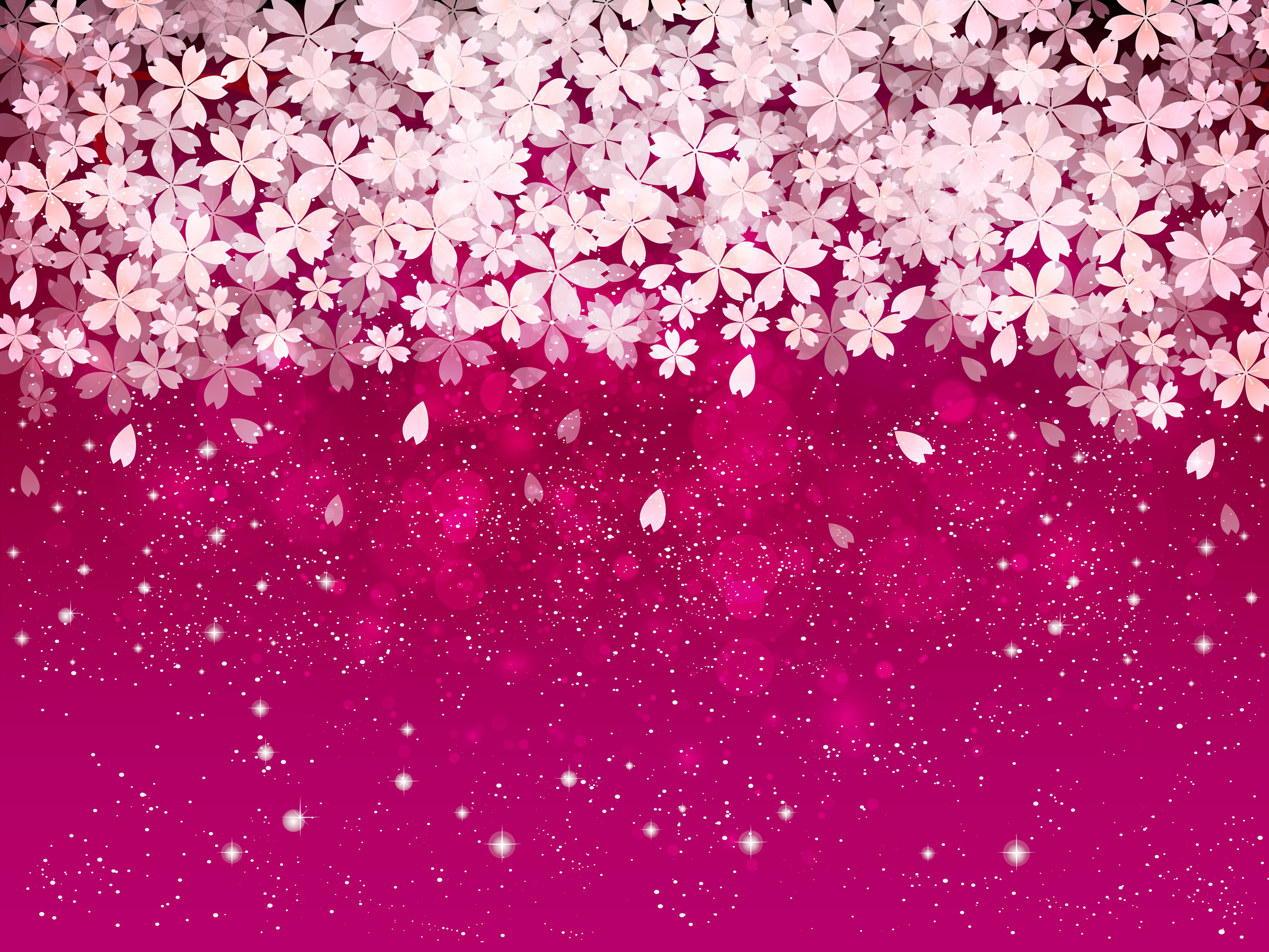 Pink cherry blossoms falling on a magenta background HD Wallpaper