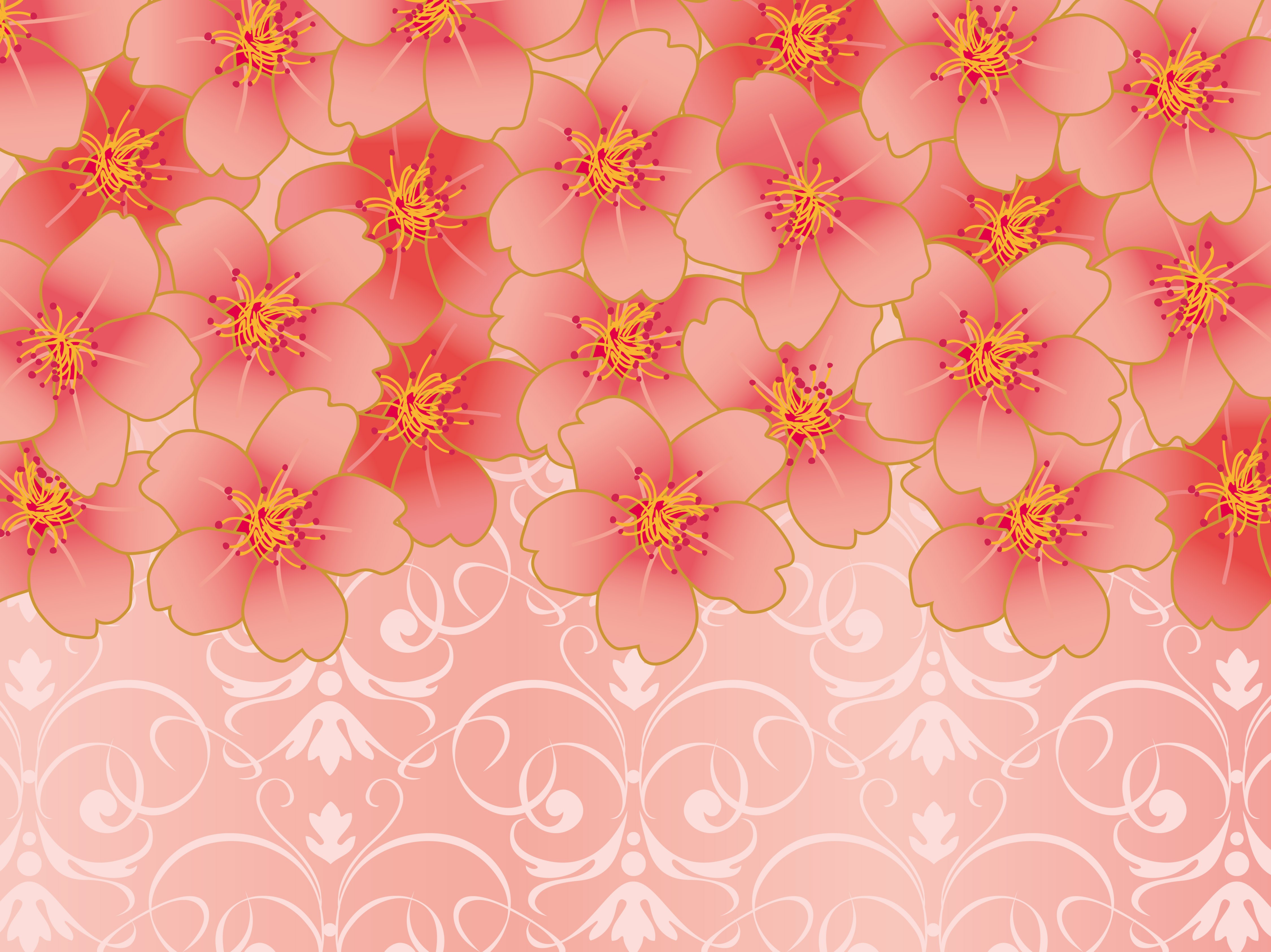 Pink cherry blossoms with ornate damask pattern HD Wallpaper