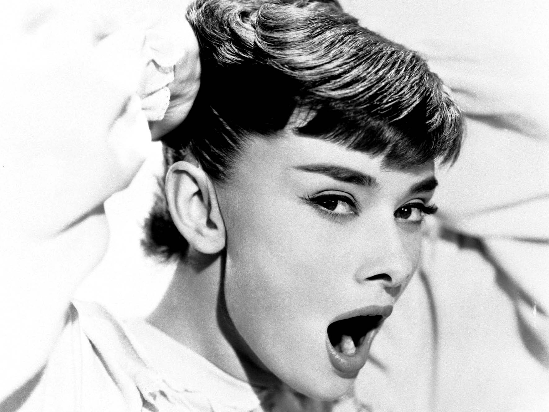 Audrey Hepburn HD Wallpaper