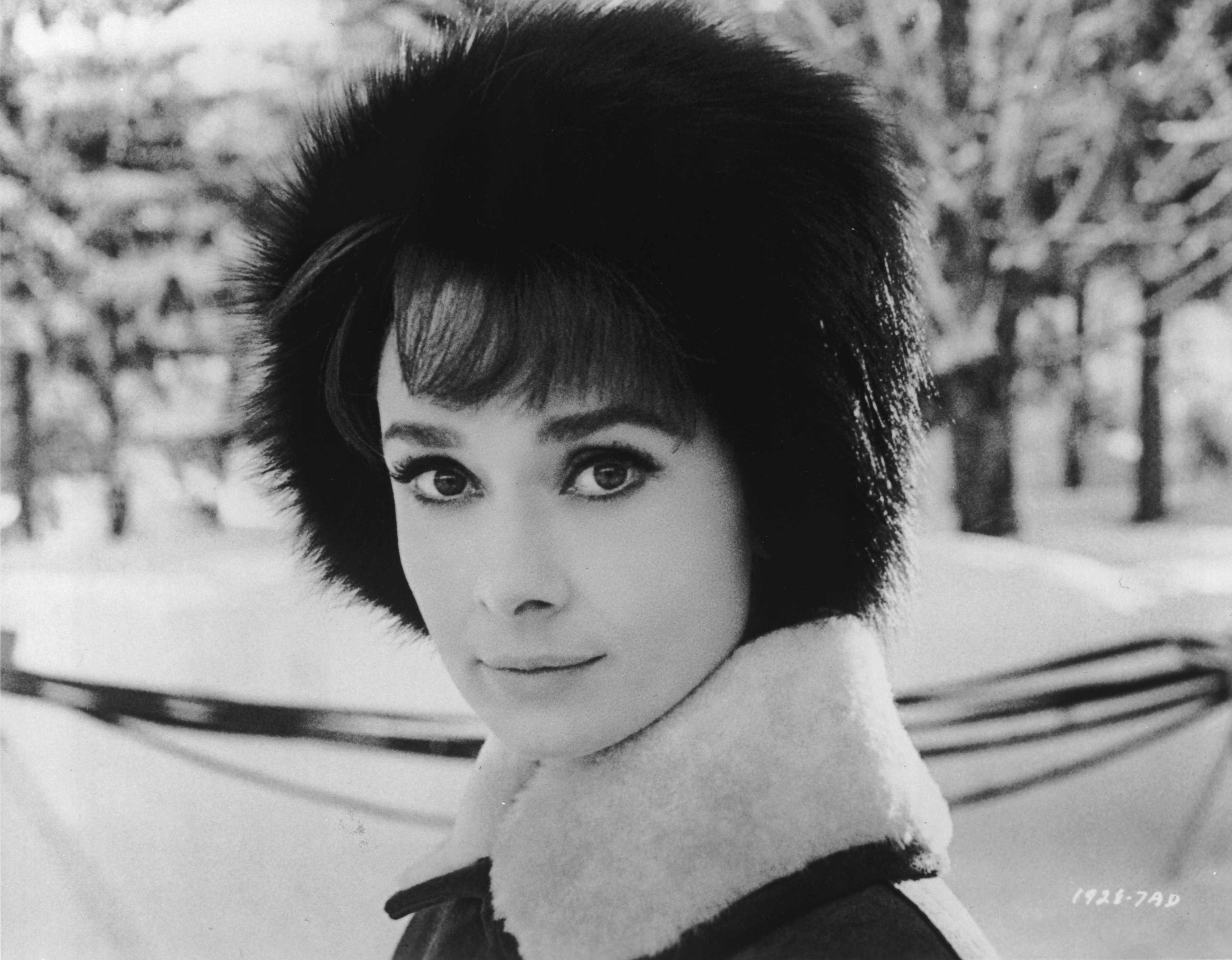 Audrey Hepburn in a fur hat HD Wallpaper