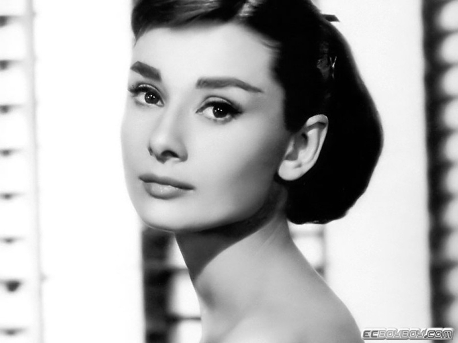 Audrey Hepburn HD Wallpaper
