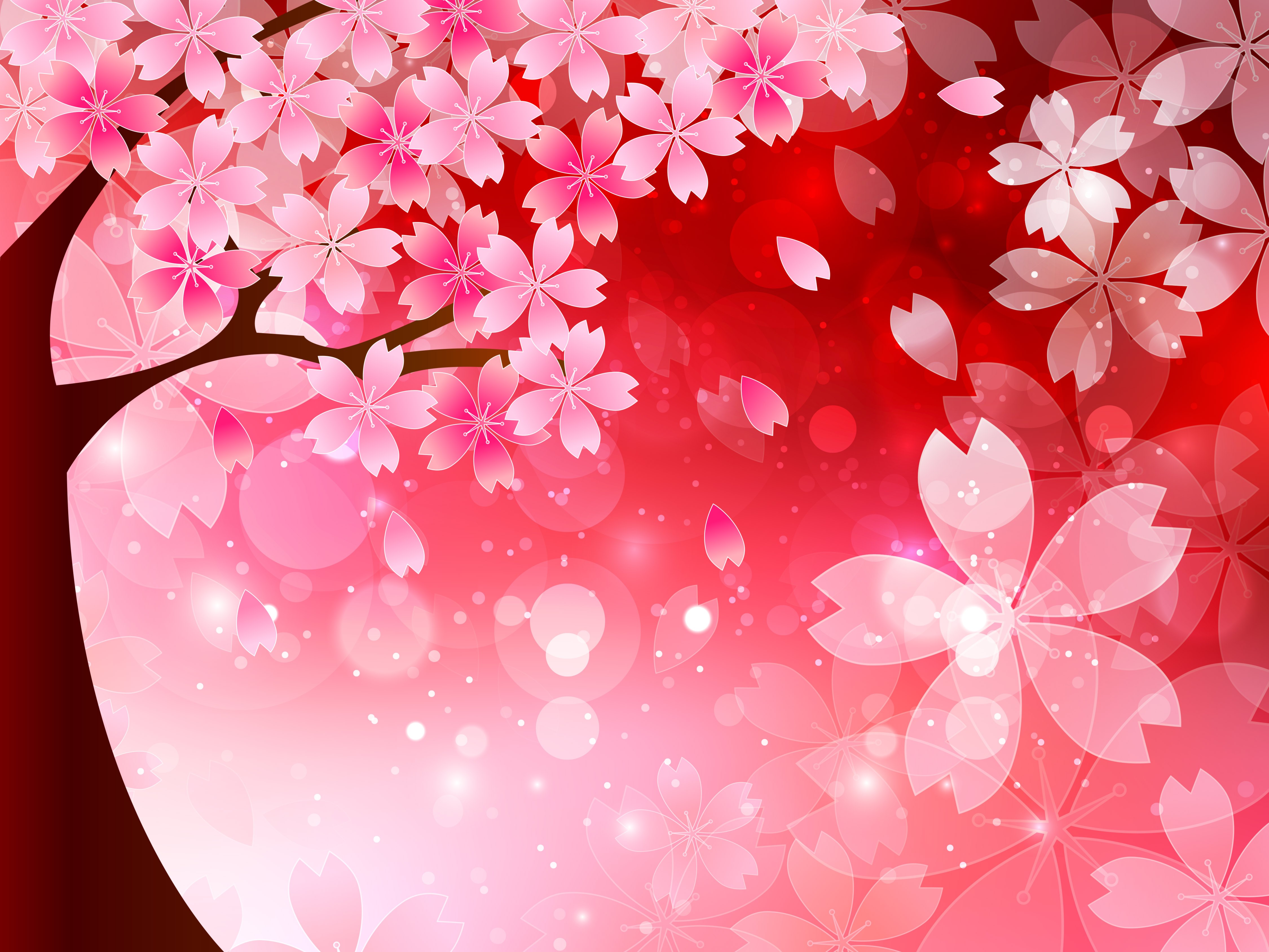 Cherry blossoms on a red background HD Wallpaper