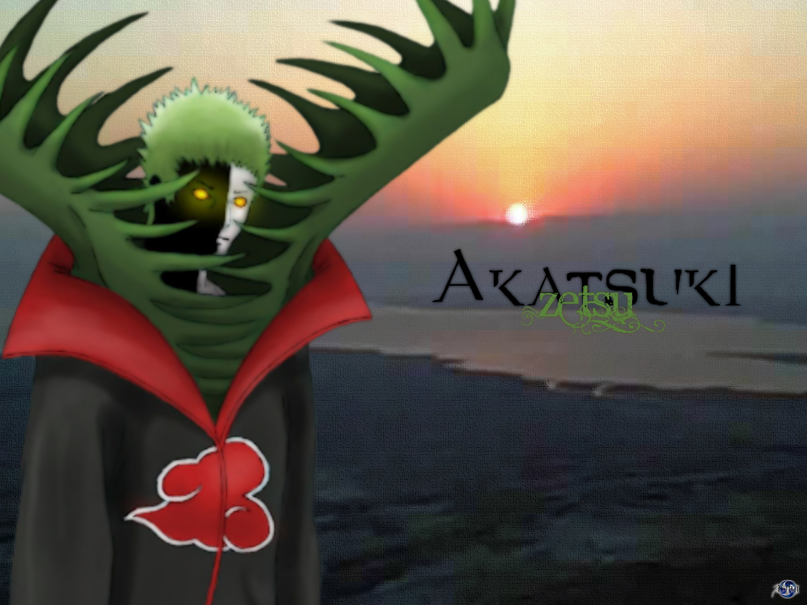 Zetsu from Naruto Akatsuki HD Wallpaper