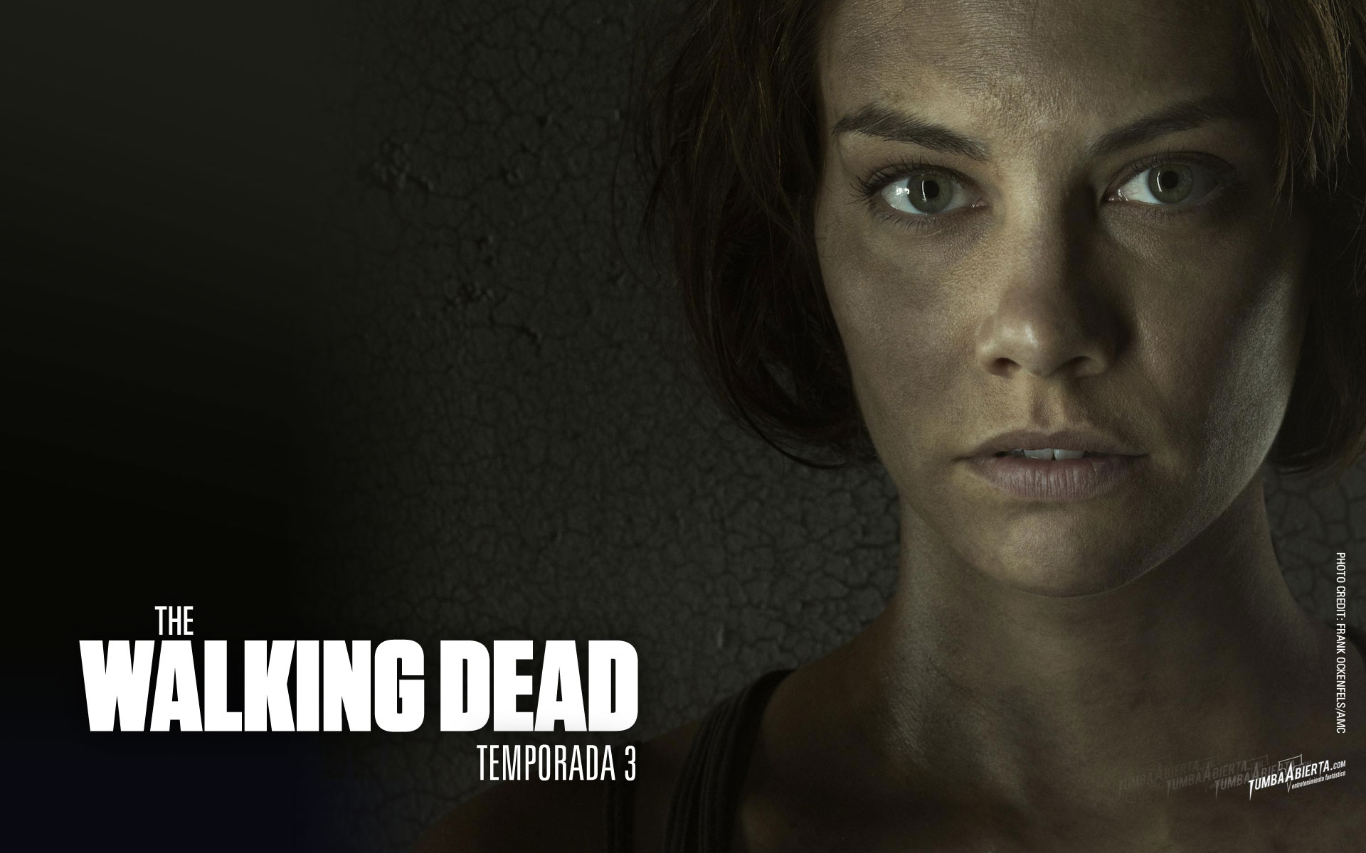 Maggie Greene from The Walking Dead Temporada 3 HD Wallpaper