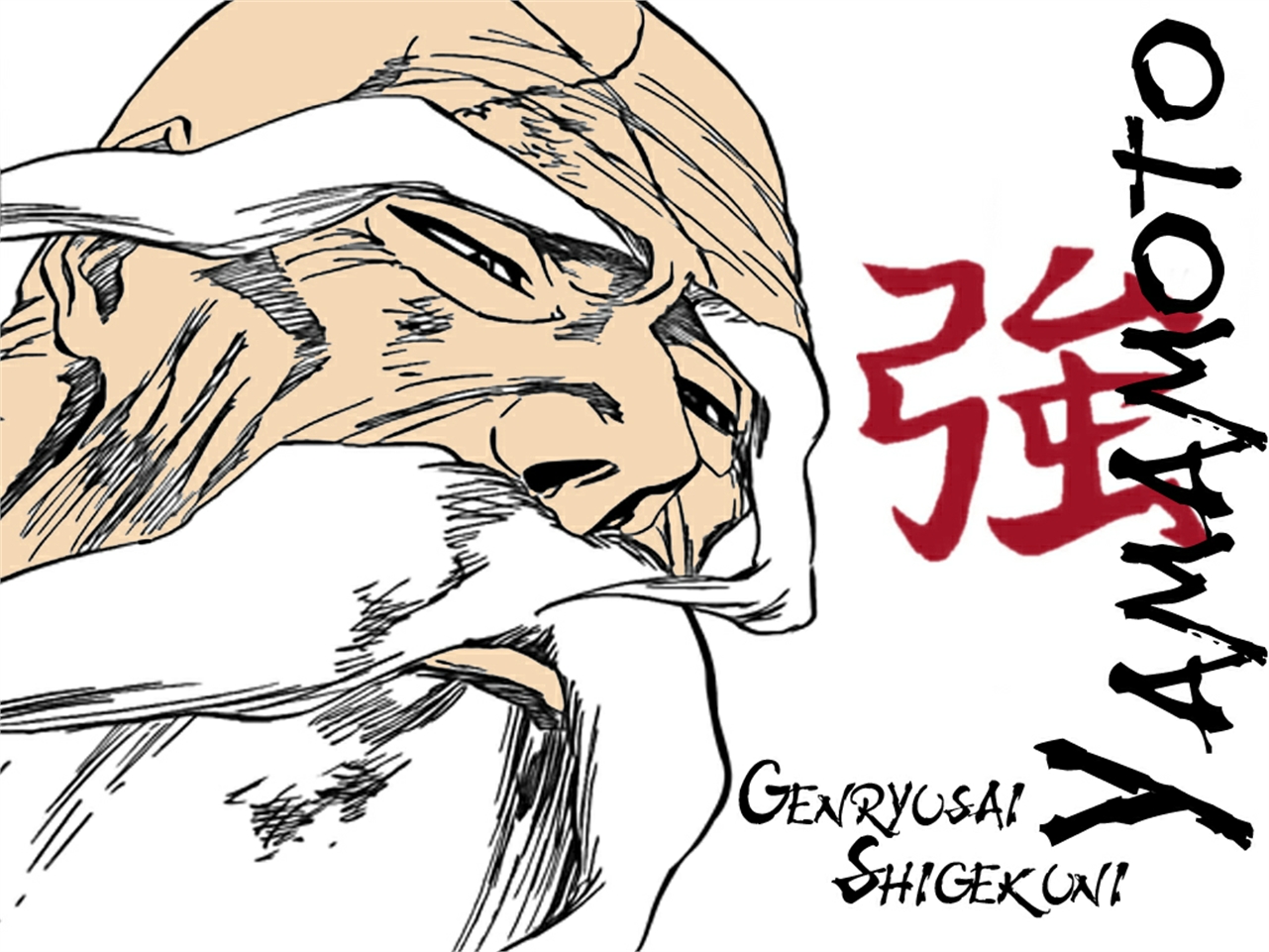 Genryūsai Shigekuni Yamamoto from Bleach HD Wallpaper