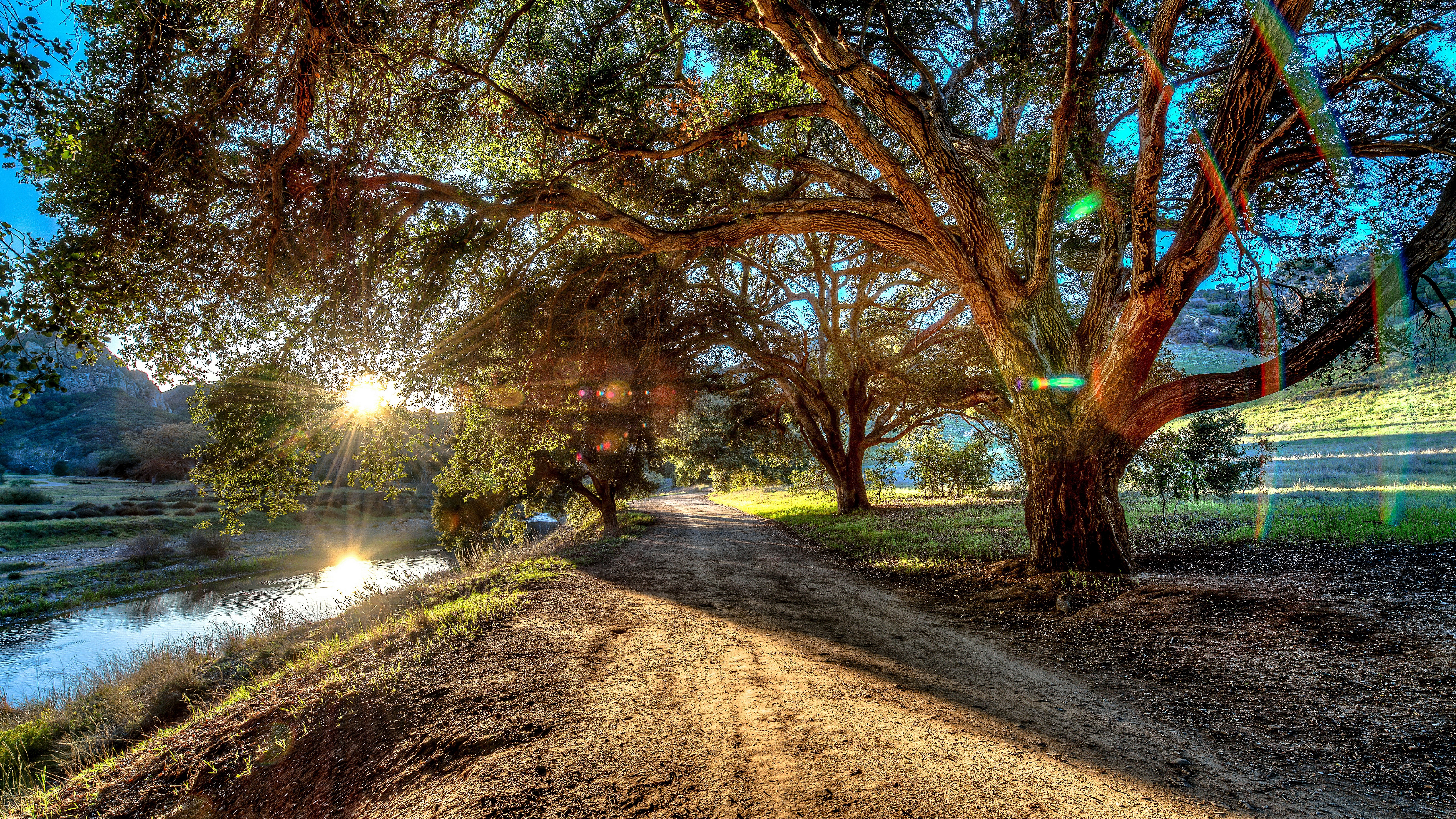 Sunlight streams through trees onto a dirt road and river HD Wallpaper