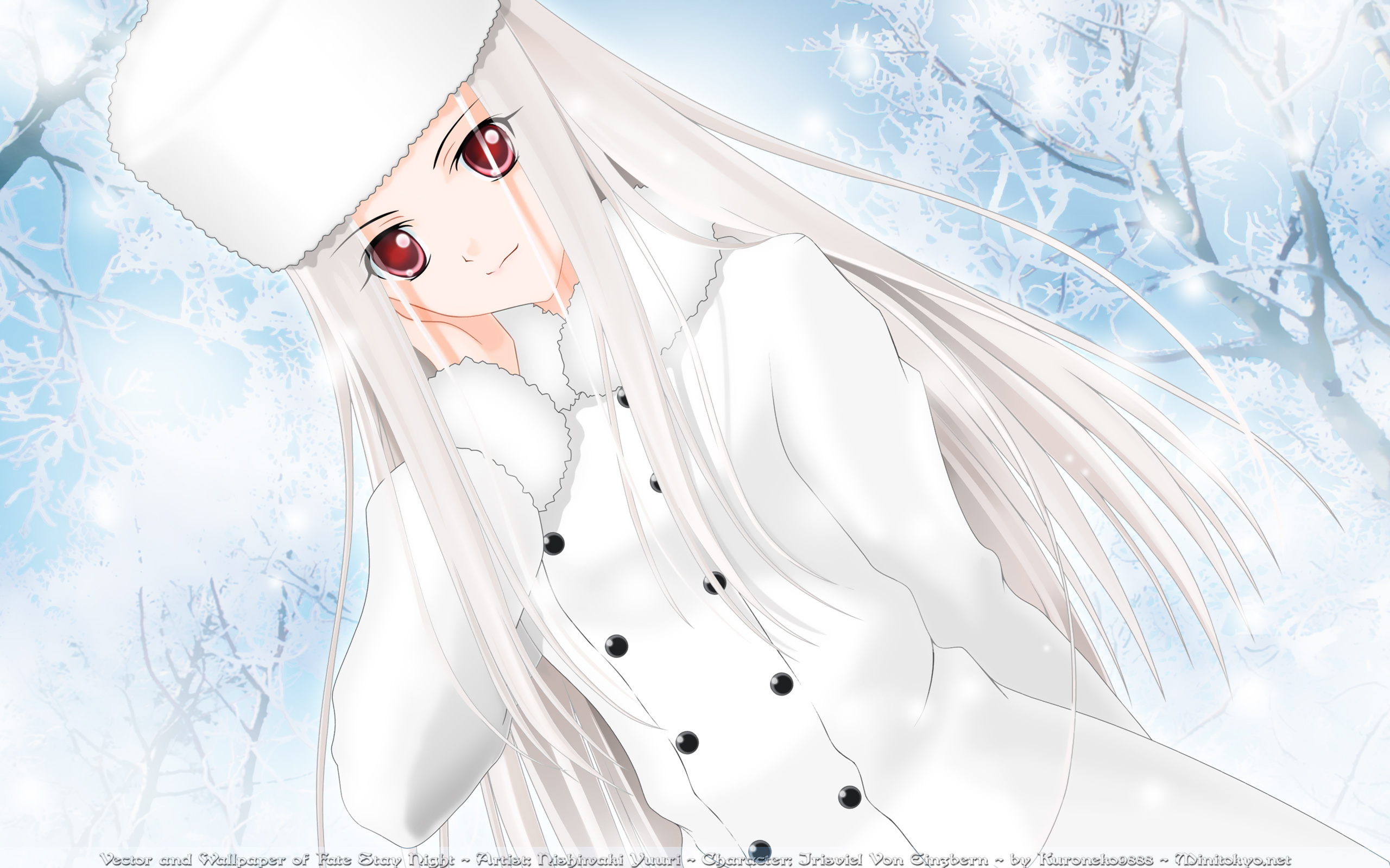 Irisviel Von Einzbern from Fate/Zero HD Wallpaper