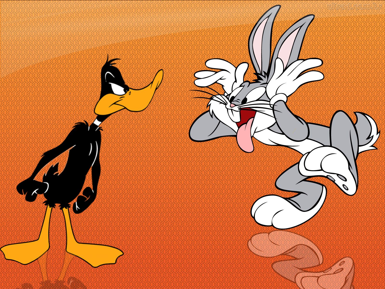 Daffy Duck and Bugs Bunny HD Wallpaper