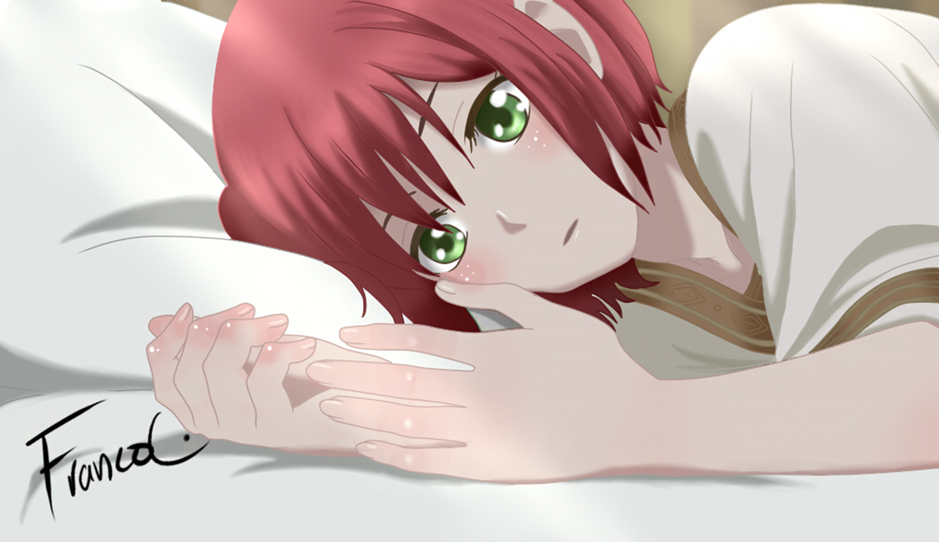 Shirayuki lying on a pillow HD Wallpaper