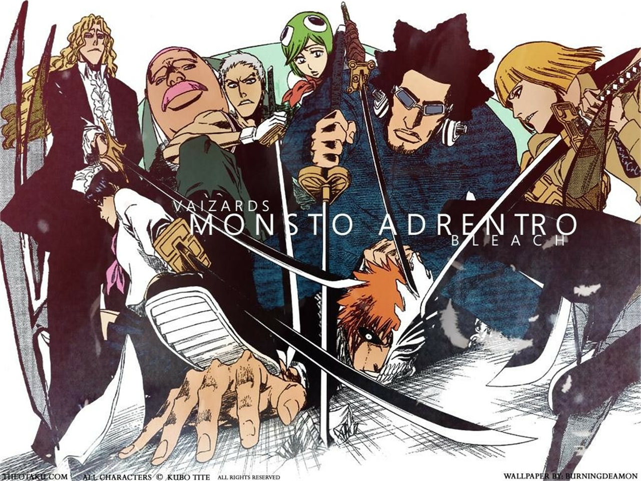 Vaizard group from Bleach HD Wallpaper