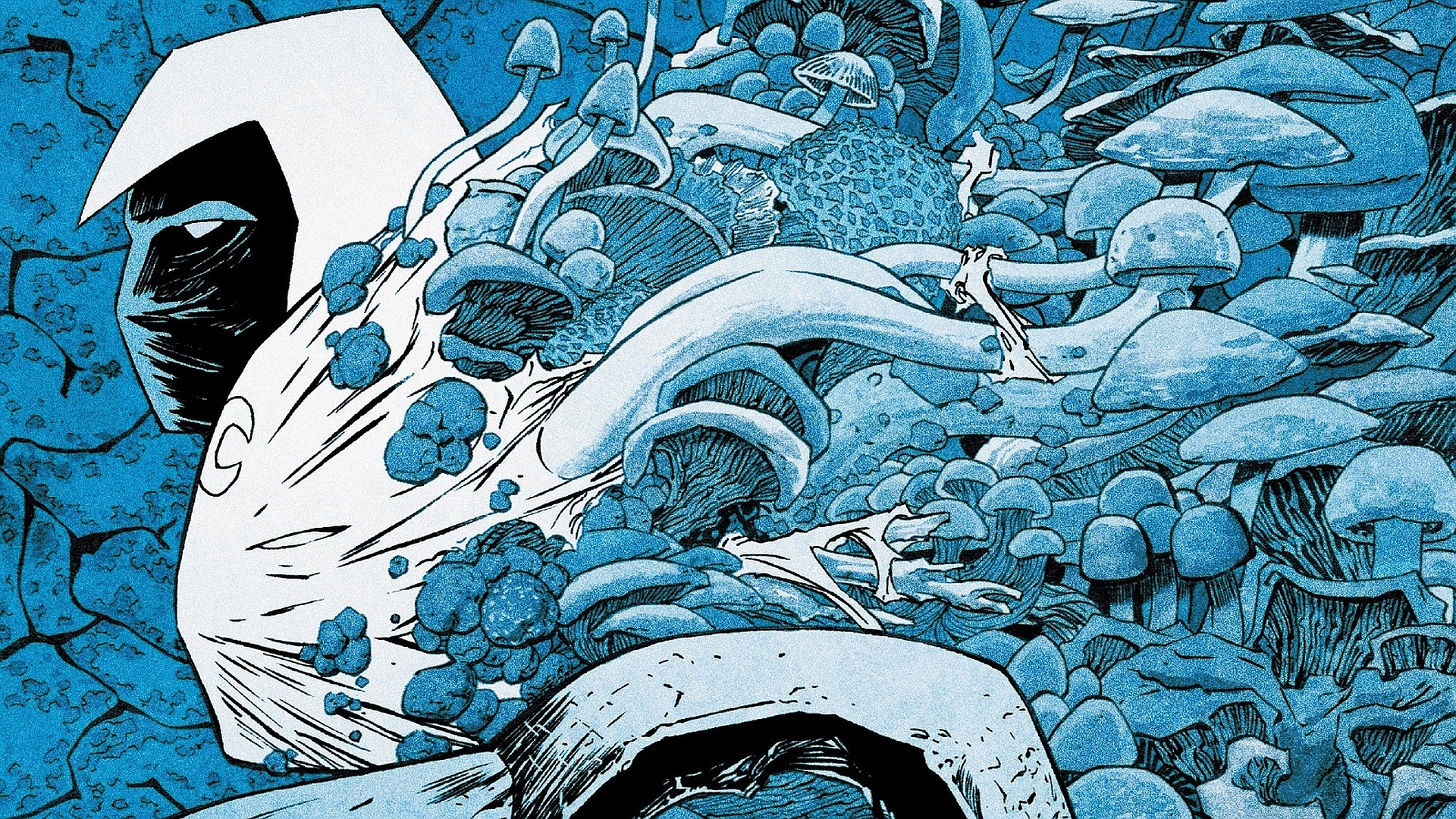 Moon Knight surrounded by mushrooms HD Wallpaper