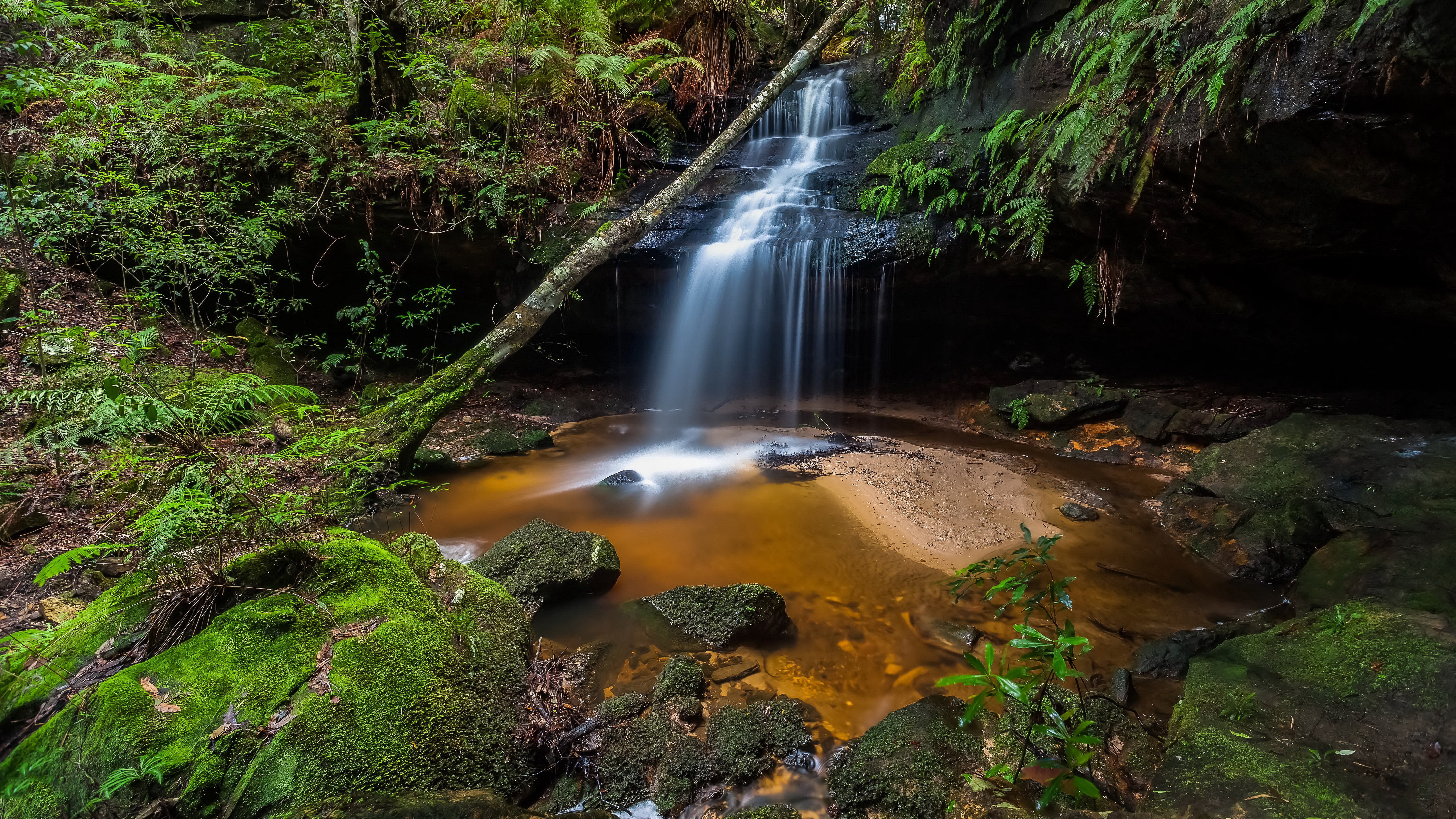 Waterfall cascading into a pool in a mossy forest HD Wallpaper