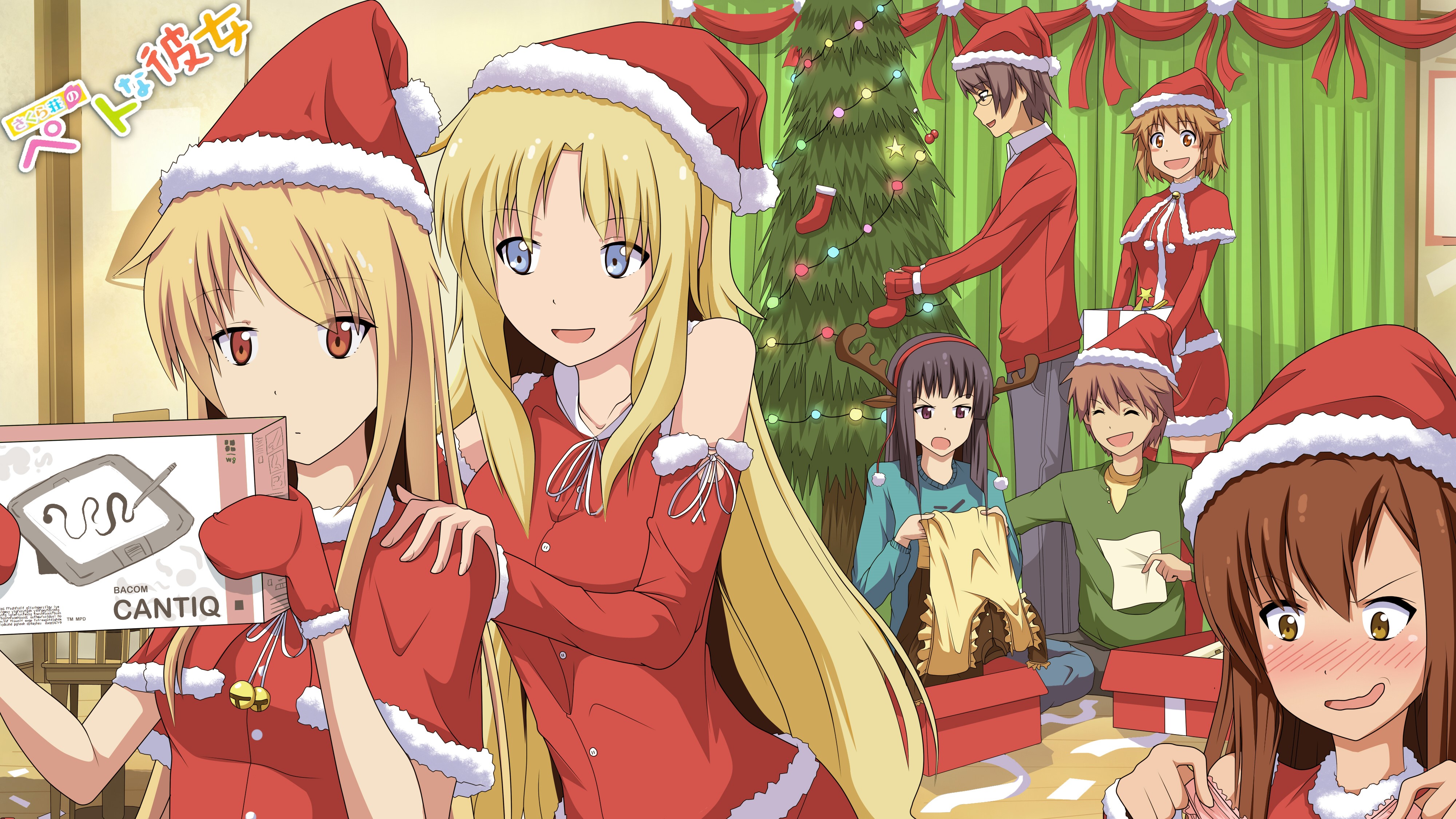 Christmas Party with Nanami Aoyama and Friends HD Wallpaper