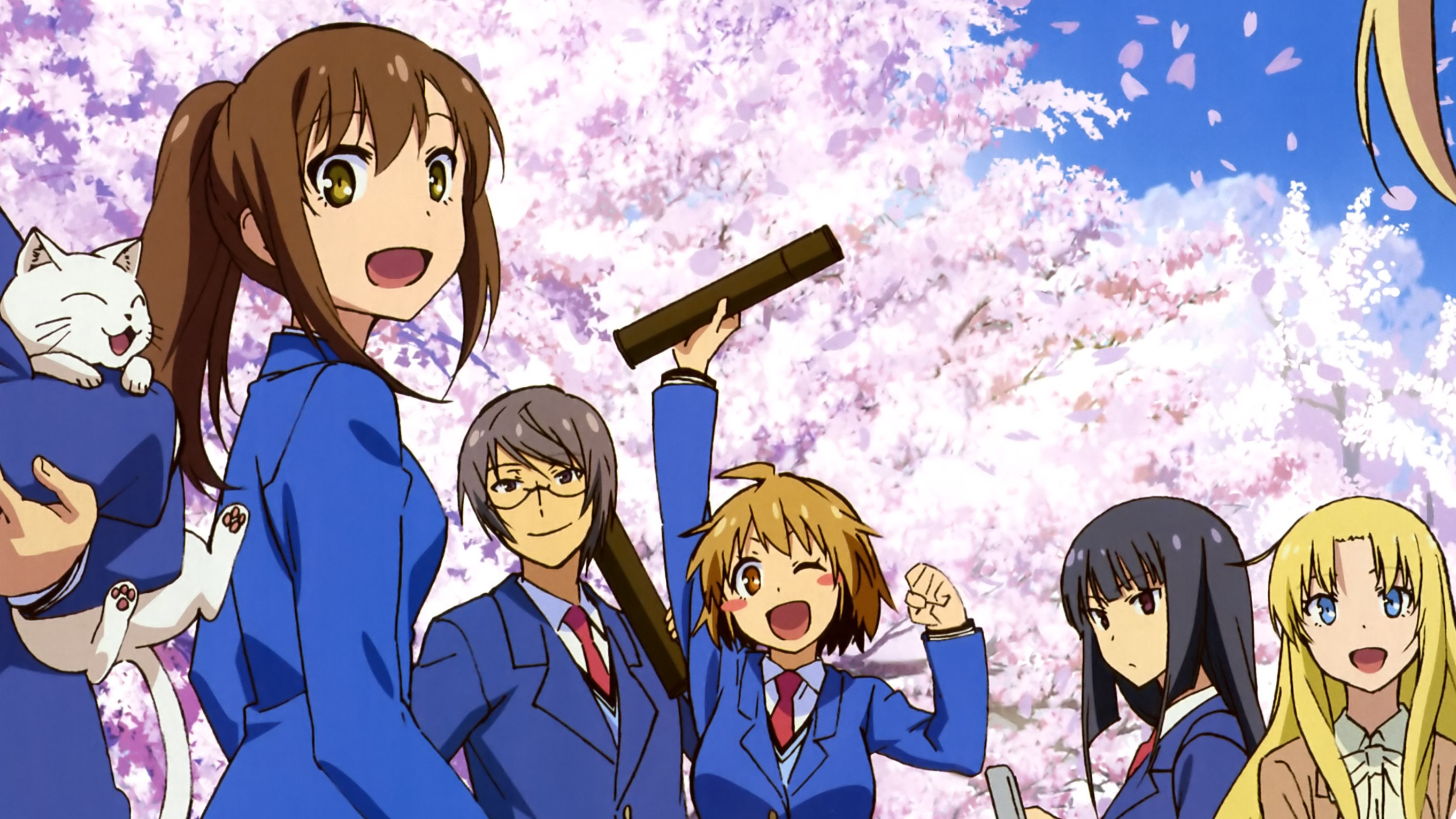 Group of students with a cat under cherry blossoms HD Wallpaper