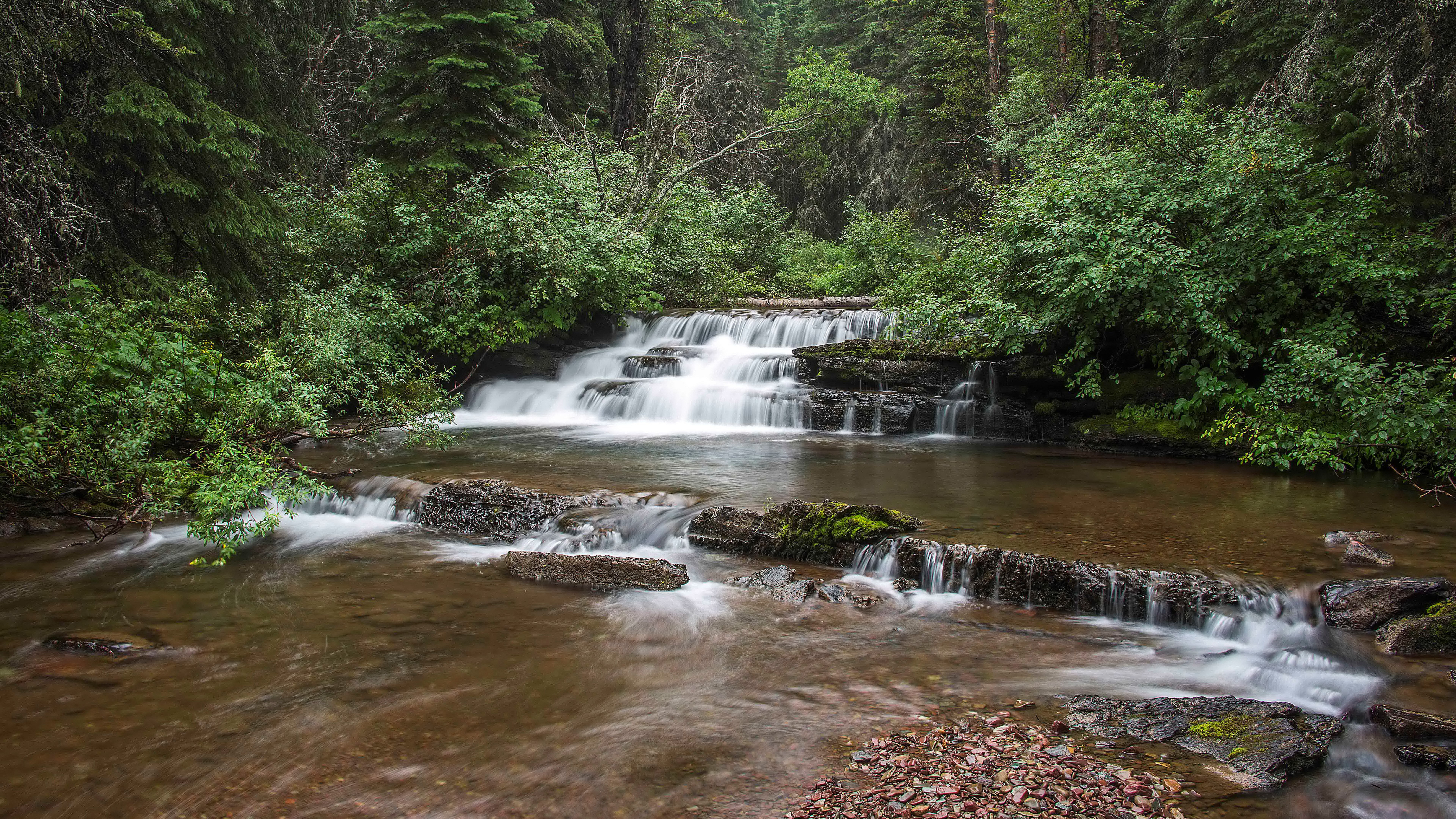 Waterfall cascading over rocks in a forest HD Wallpaper