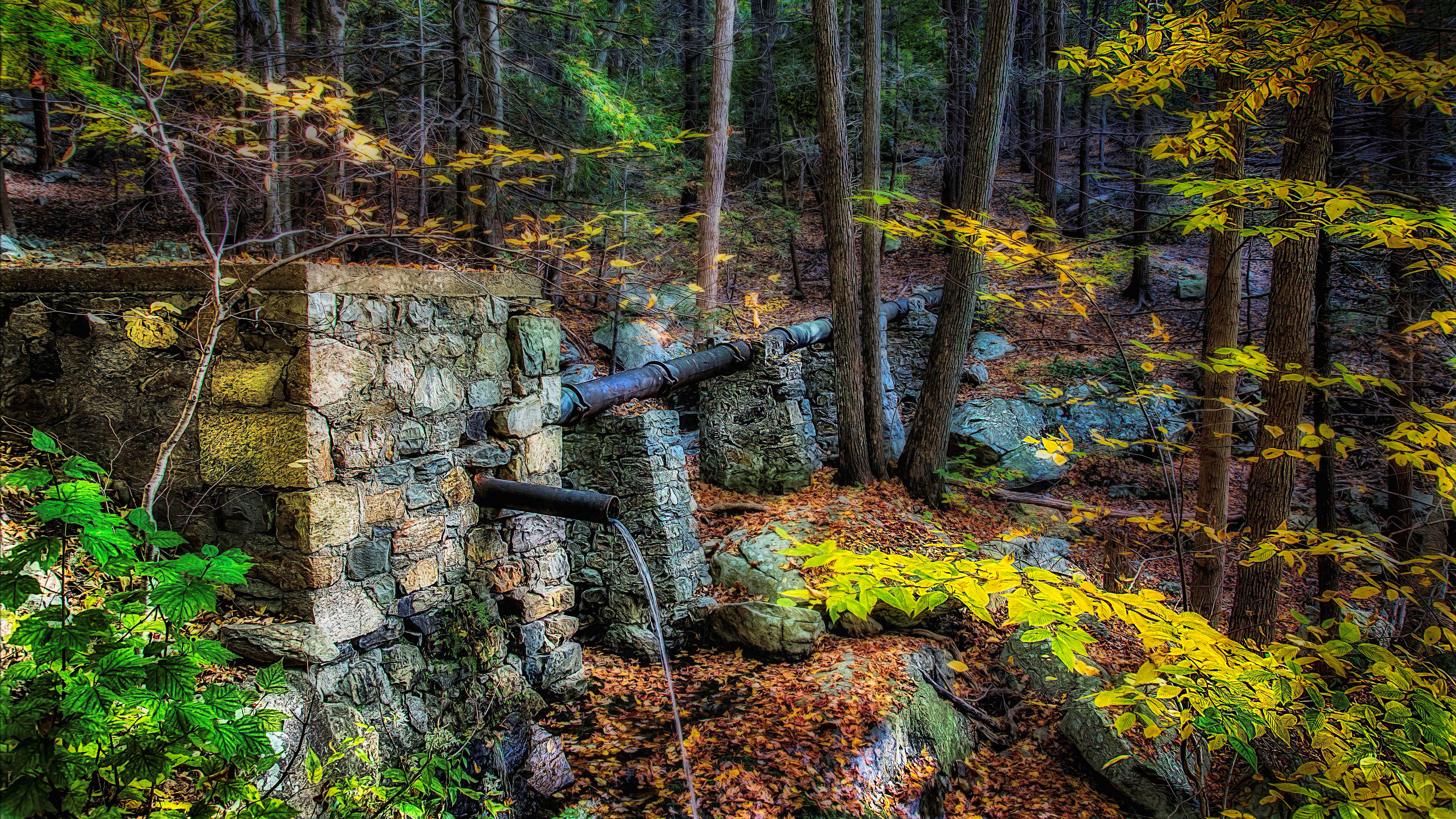 Stone structure with pipes in autumn forest HD Wallpaper