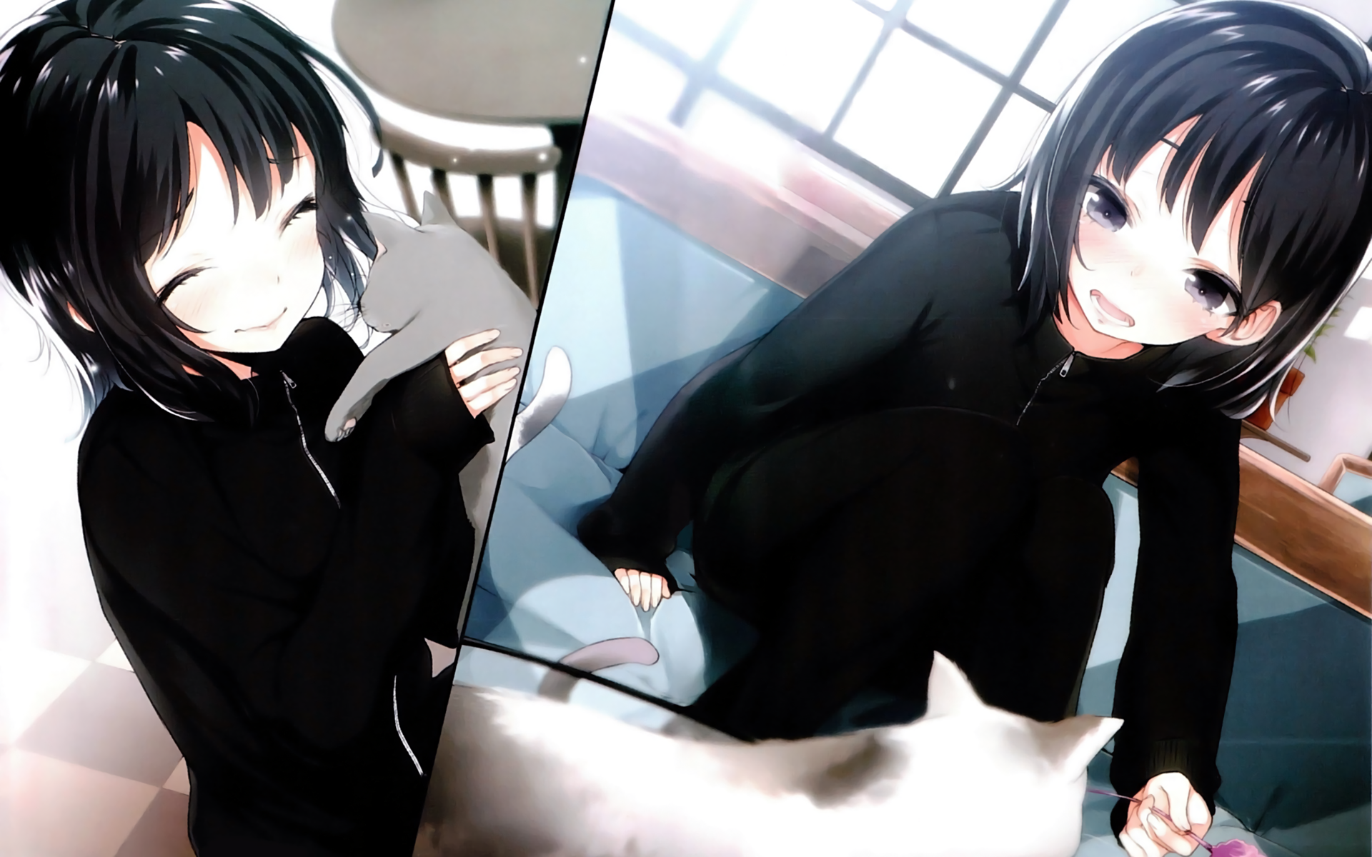 Yozora Mikazuki with cats HD Wallpaper