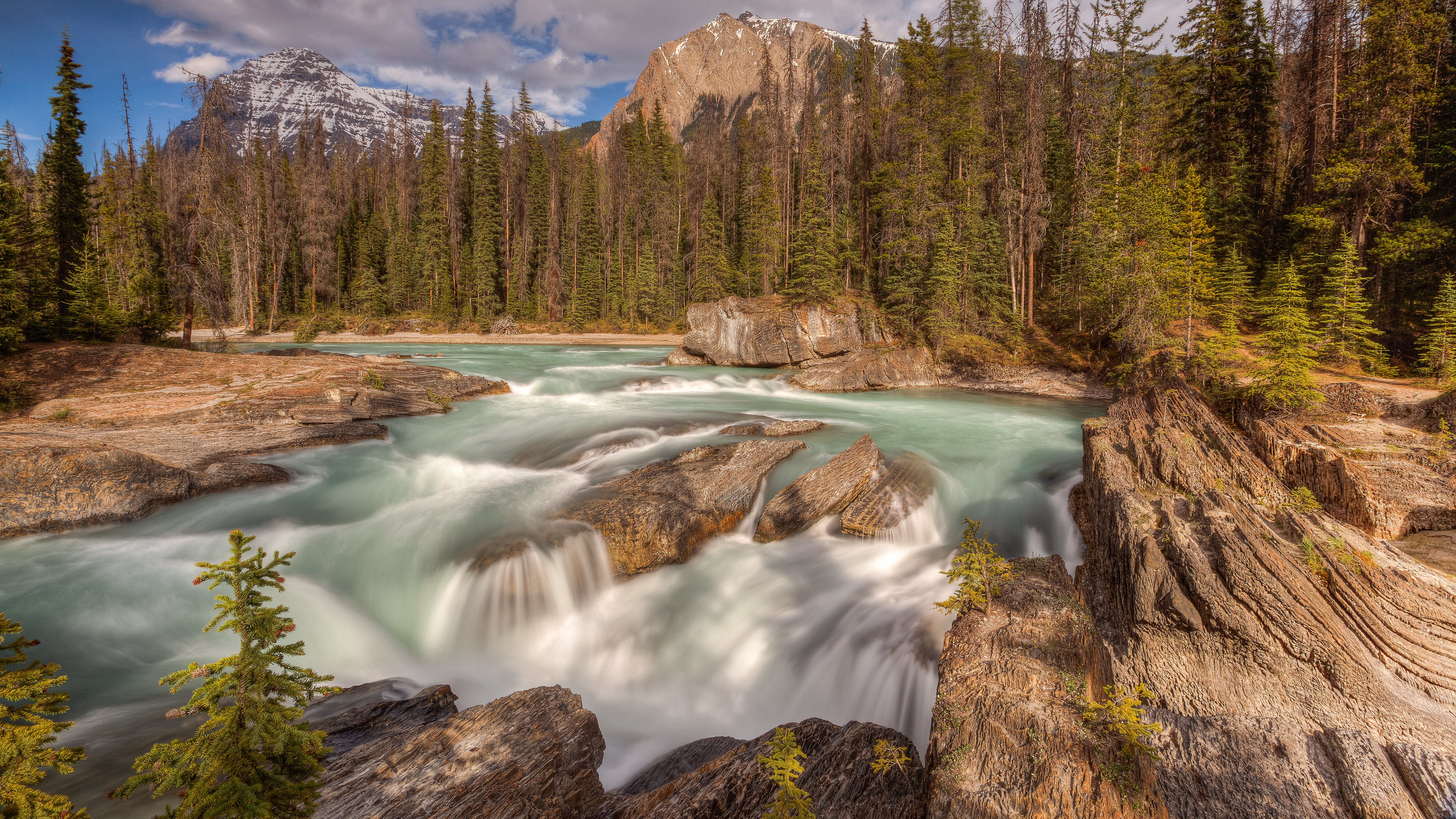 Waterfall in a forest with mountains HD Wallpaper