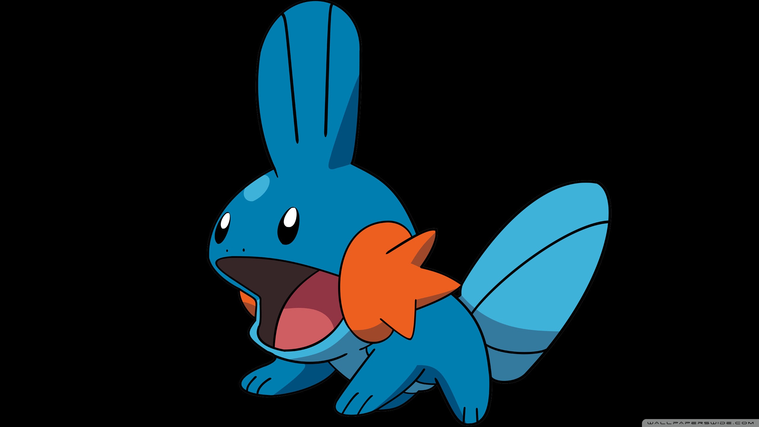 Mudkip from Pokemon HD Wallpaper