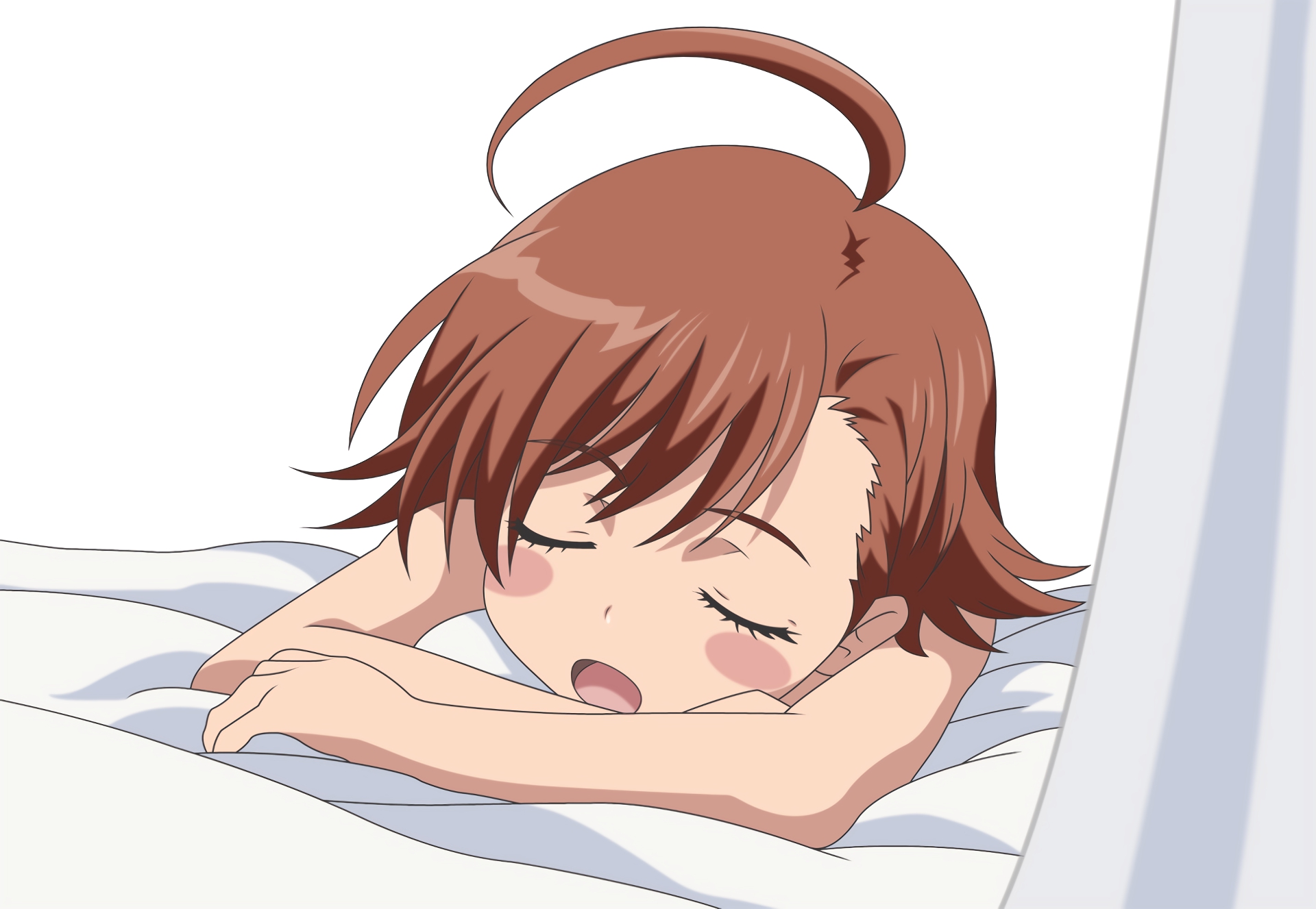 Last Order sleeping HD Wallpaper