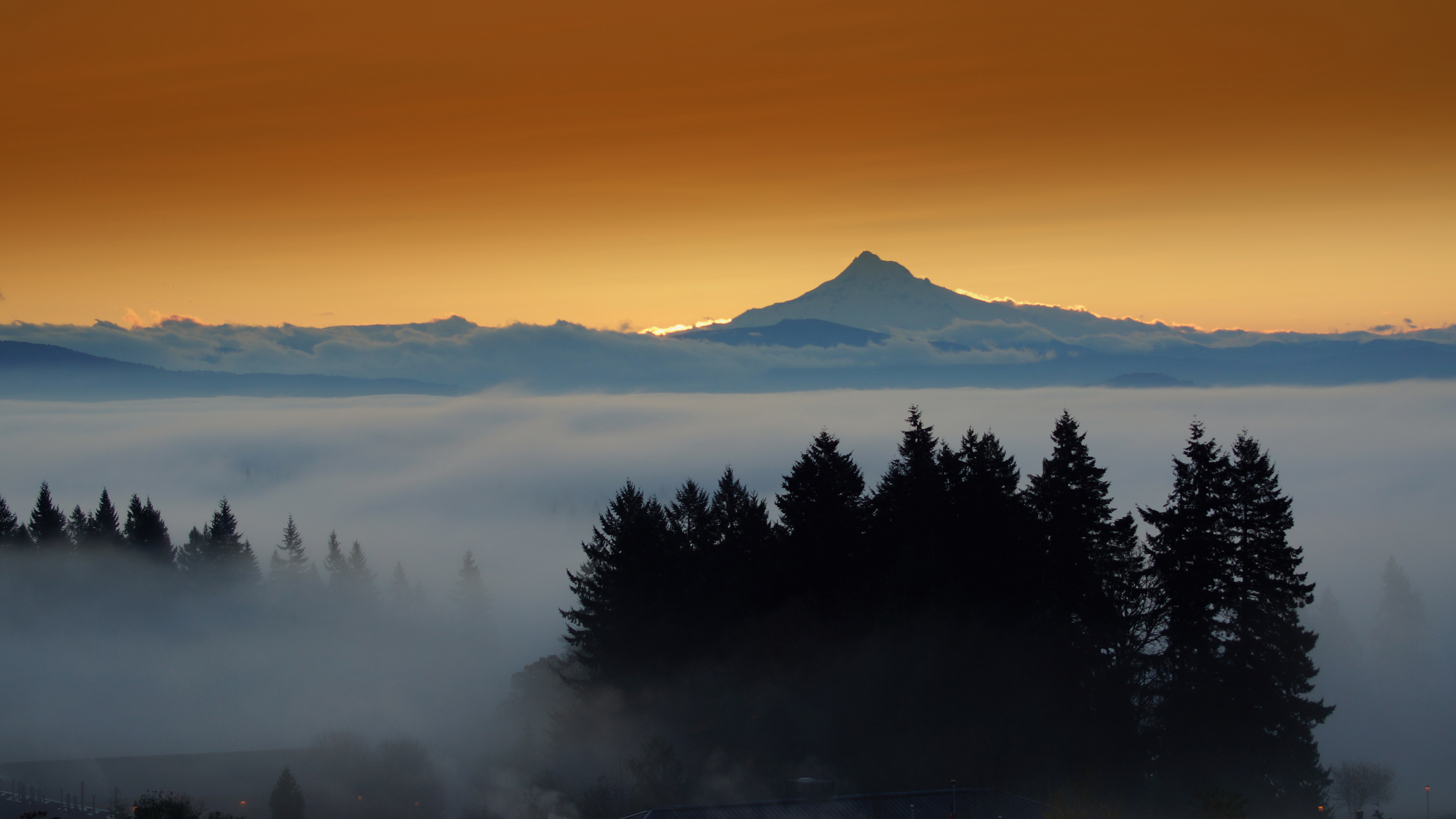 Mountain peak above fog and trees at sunset HD Wallpaper