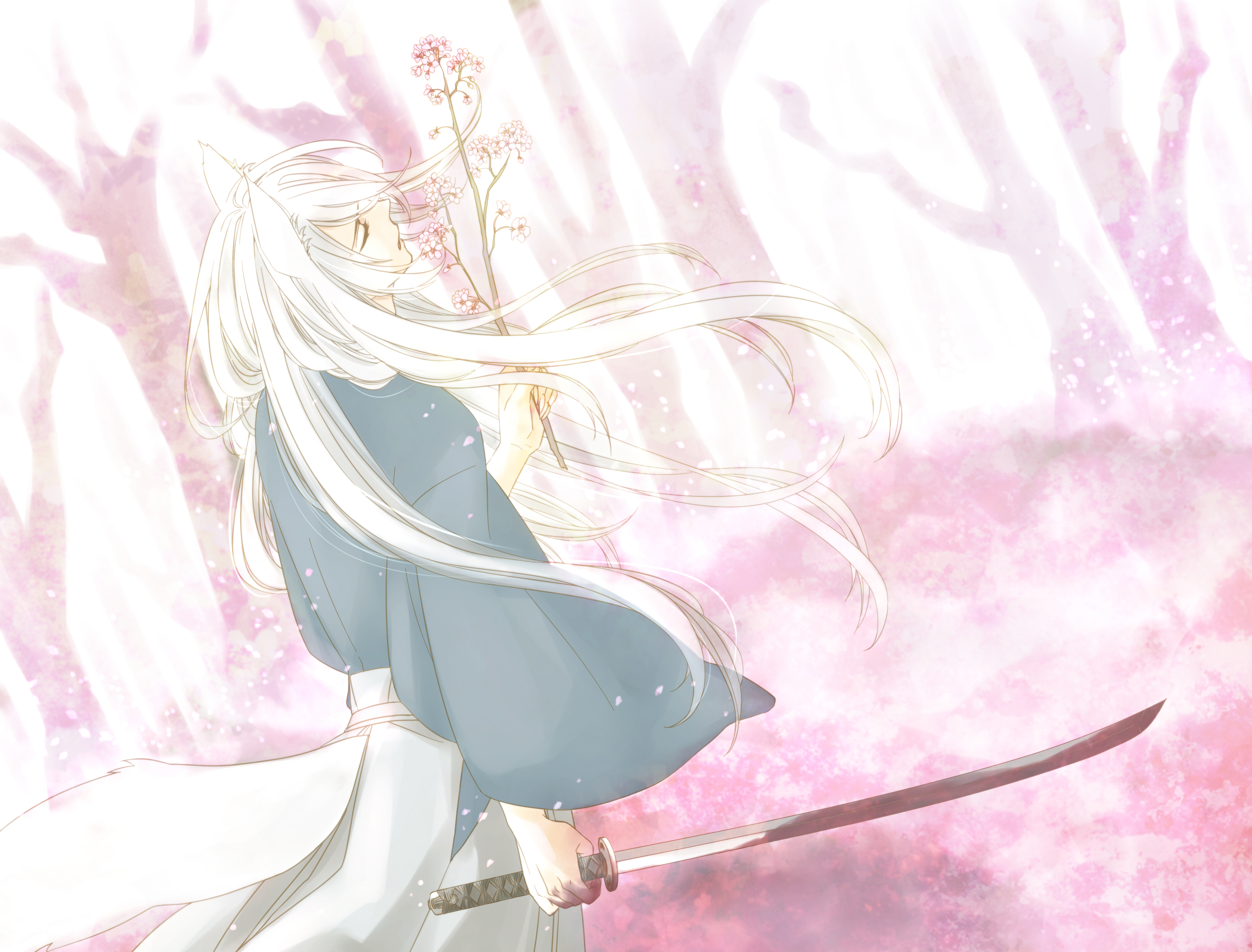 Tomoe from Kamisama Kiss with a sword and cherry blossoms HD Wallpaper