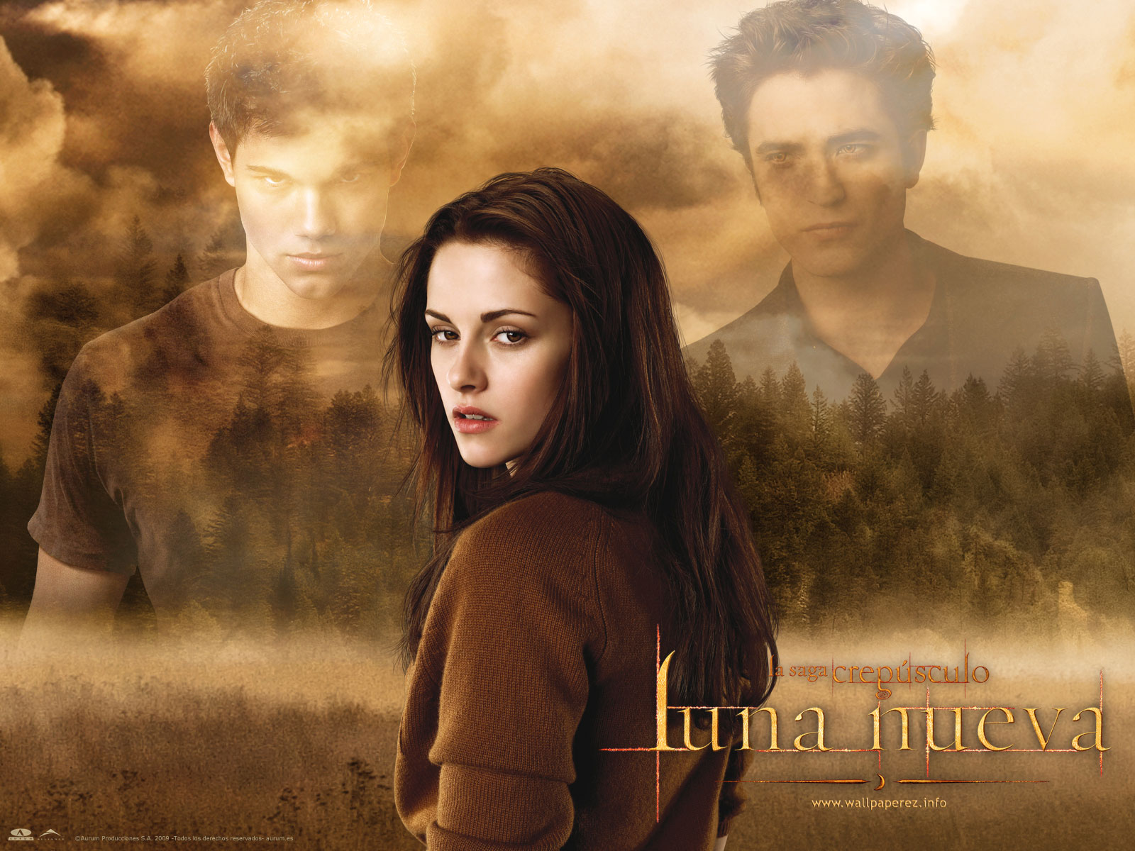 Bella Swan from The Twilight Saga: New Moon HD Wallpaper