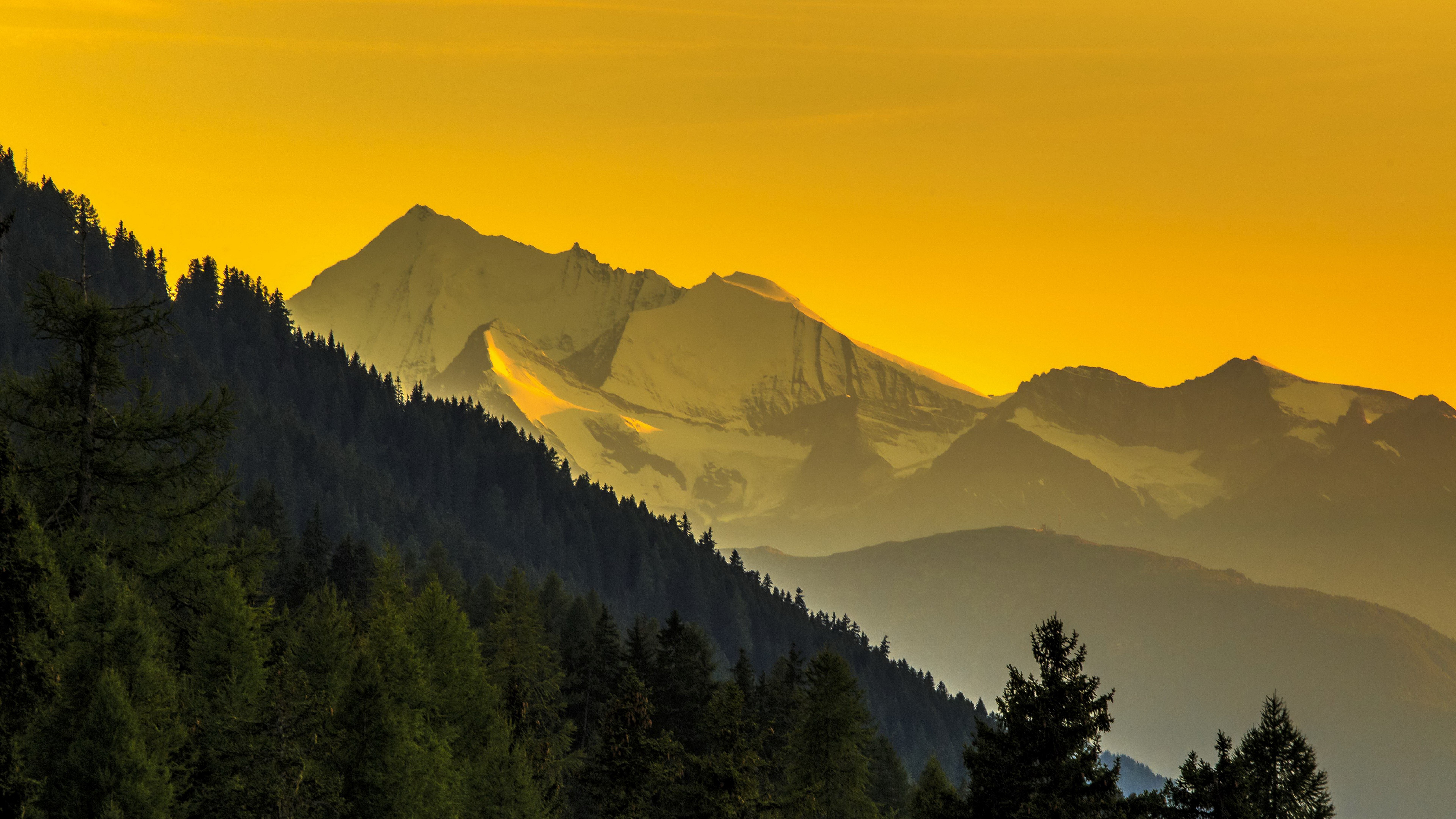 Snow-capped mountains at sunset with pine forest HD Wallpaper