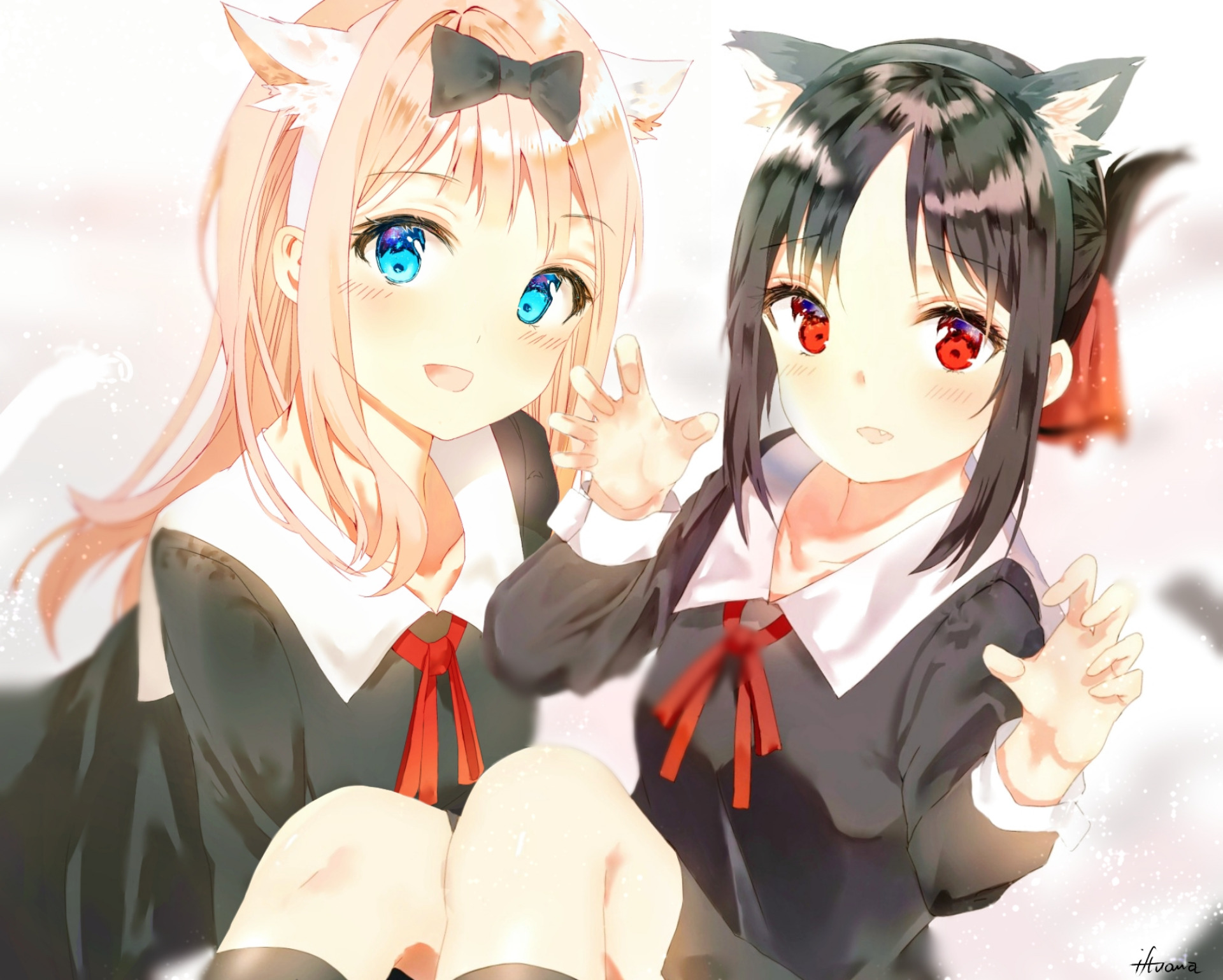 Chika Fujiwara and Kaguya Shinomiya with cat ears HD Wallpaper