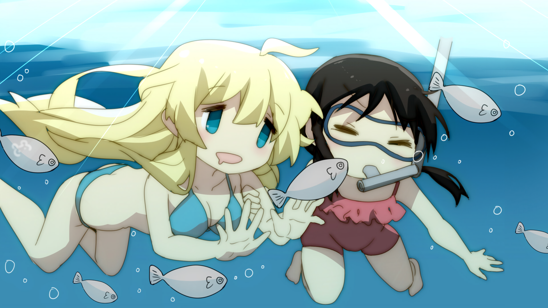 Two girls snorkeling with fish HD Wallpaper