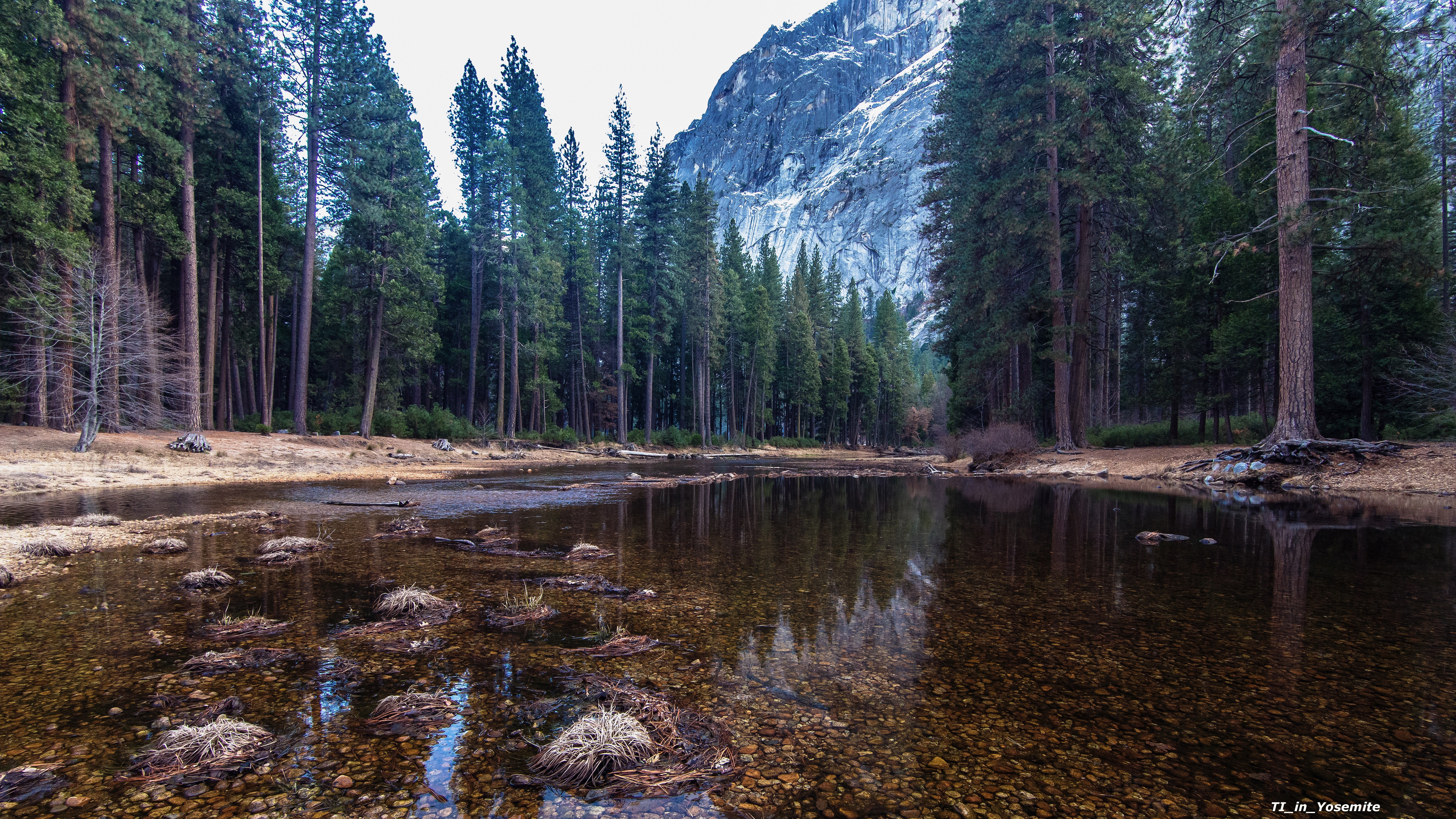Forest and mountain reflected in a shallow body of water HD Wallpaper