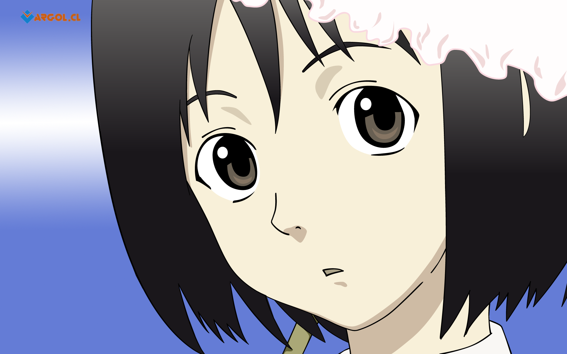 Misaki Nakahara from Welcome to the N.H.K. HD Wallpaper