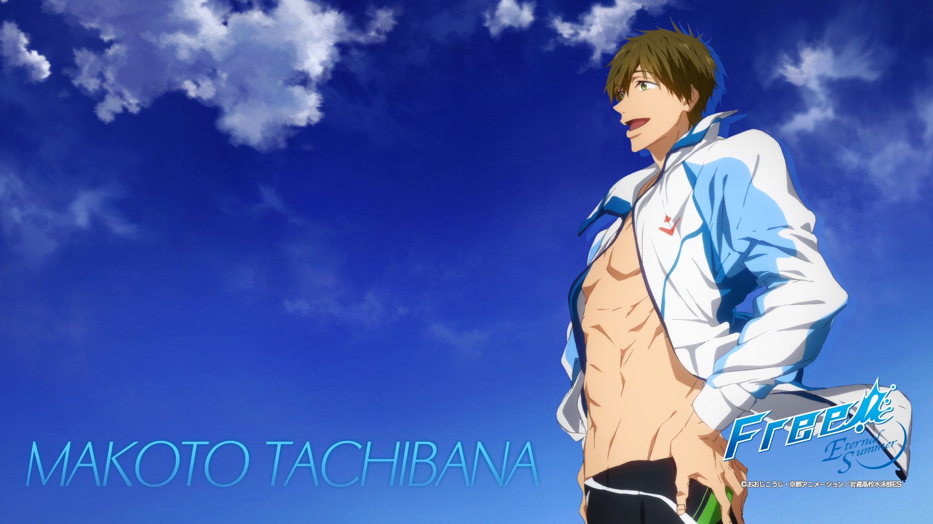 Makoto Tachibana from Free! Eternal Summer HD Wallpaper