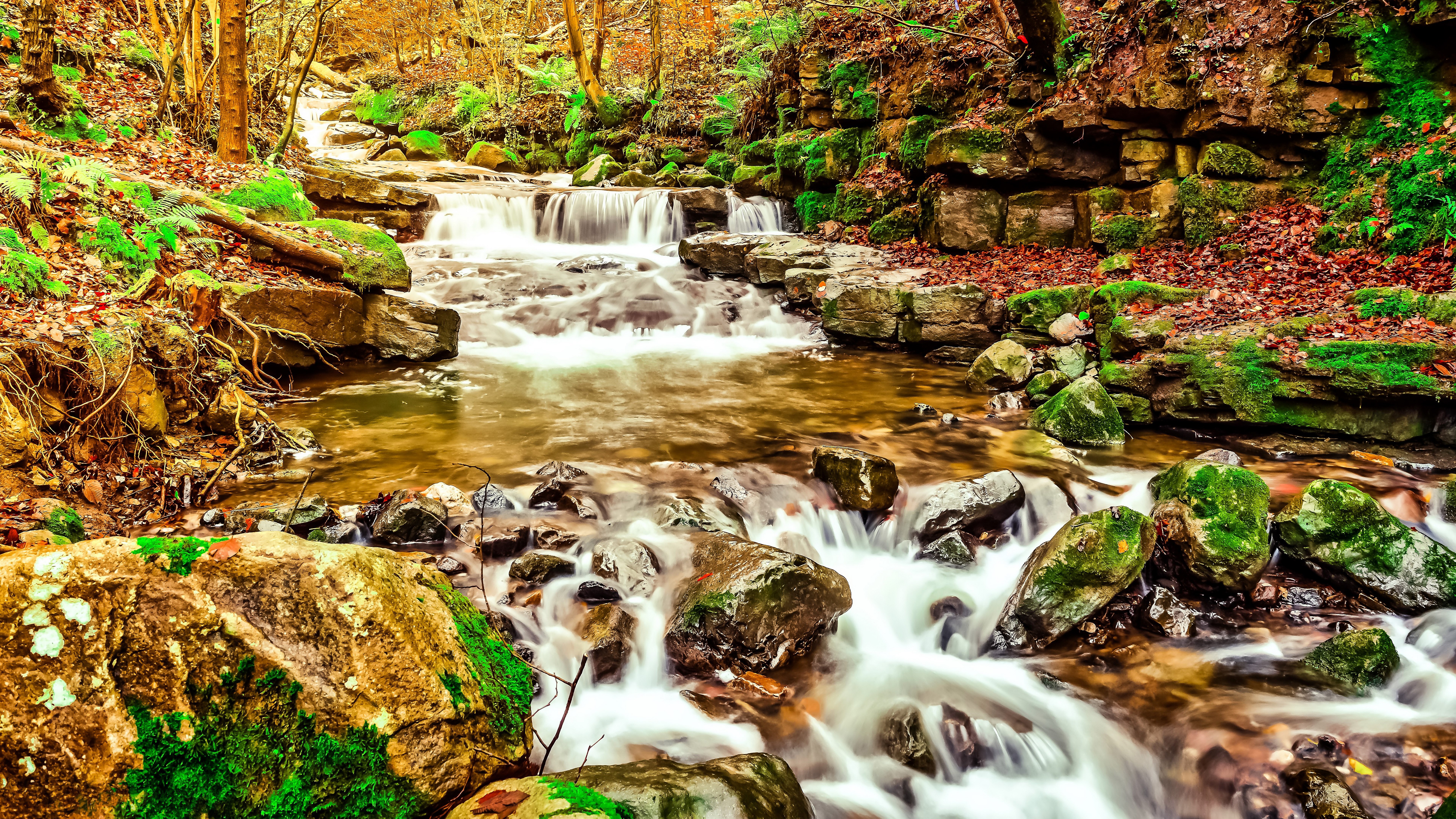 A forest stream with mossy rocks and autumn leaves HD Wallpaper