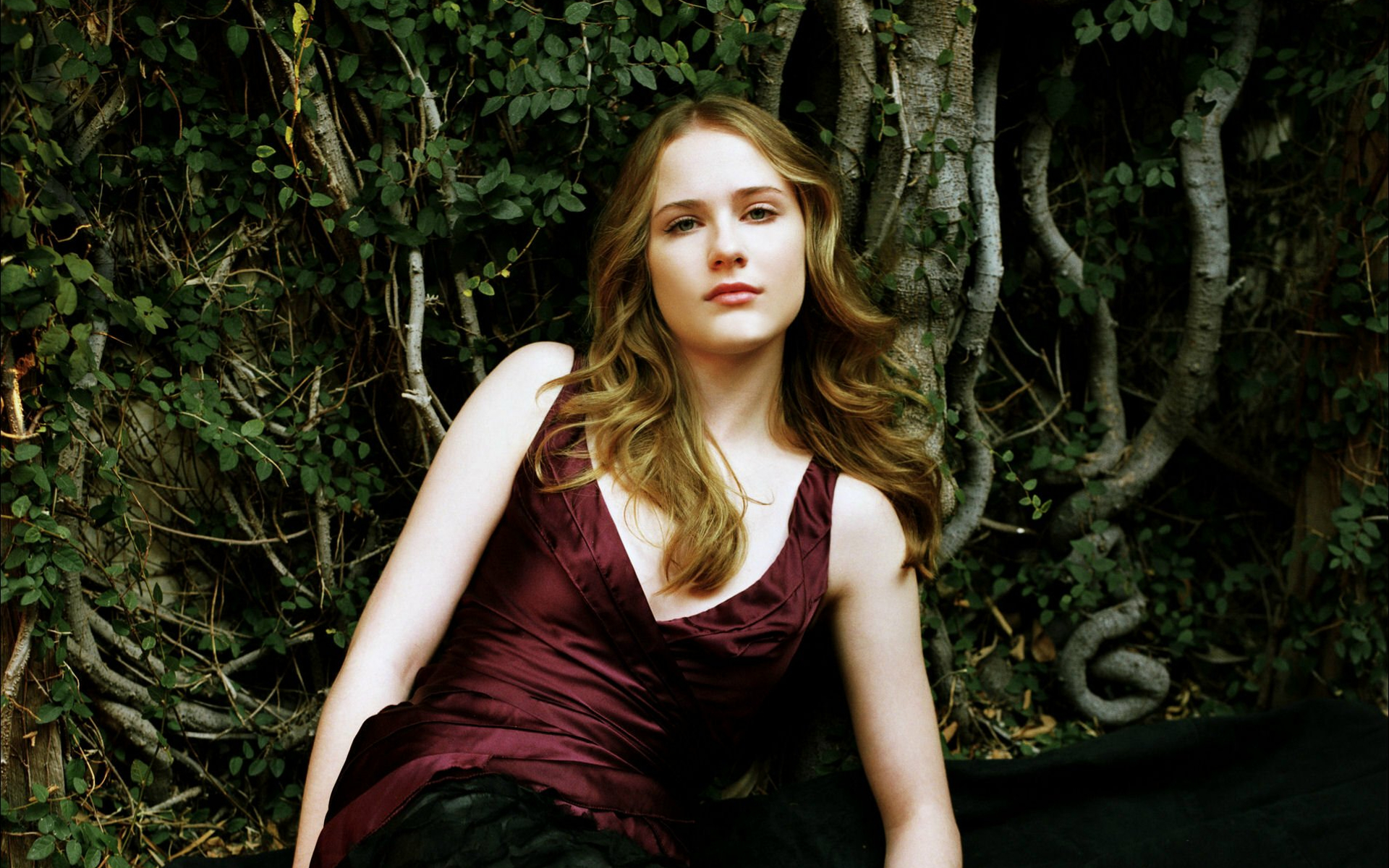 Evan Rachel Wood in a burgundy dress HD Wallpaper