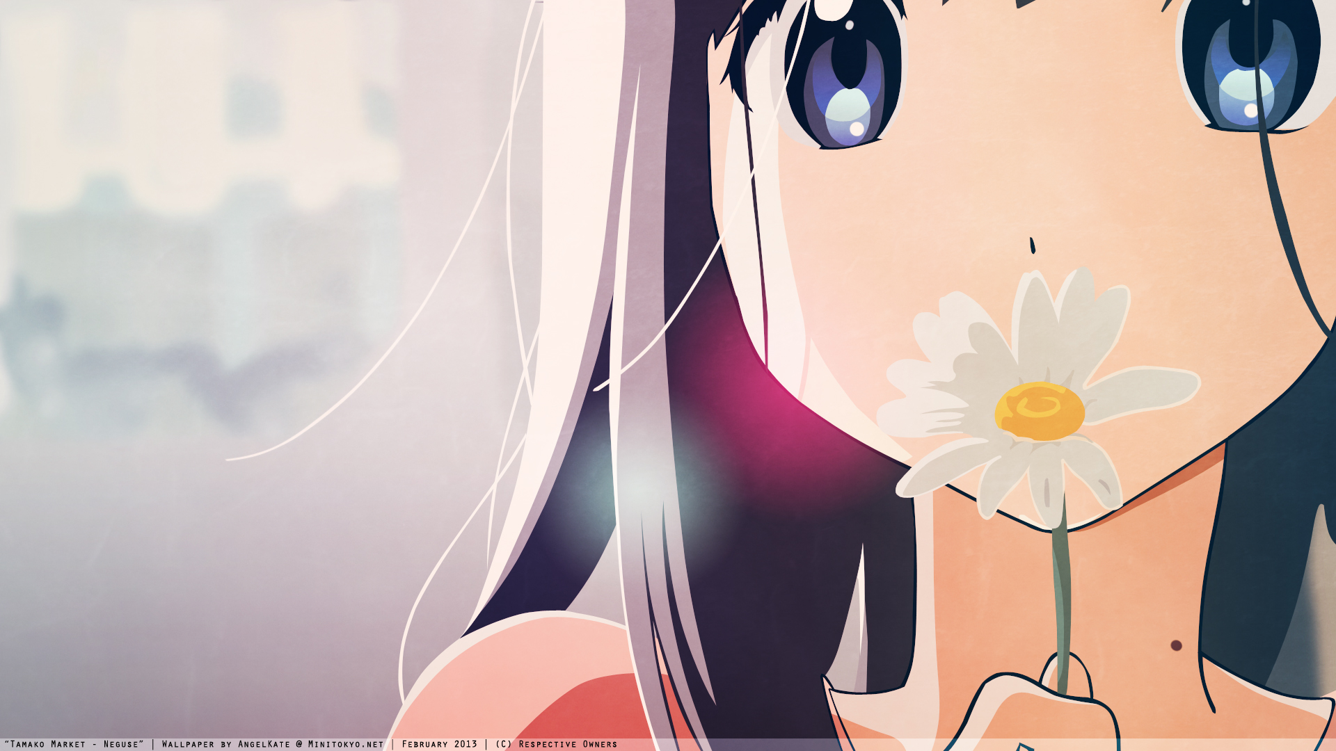 Tamako Kitashirakawa from Tamako Market HD Wallpaper