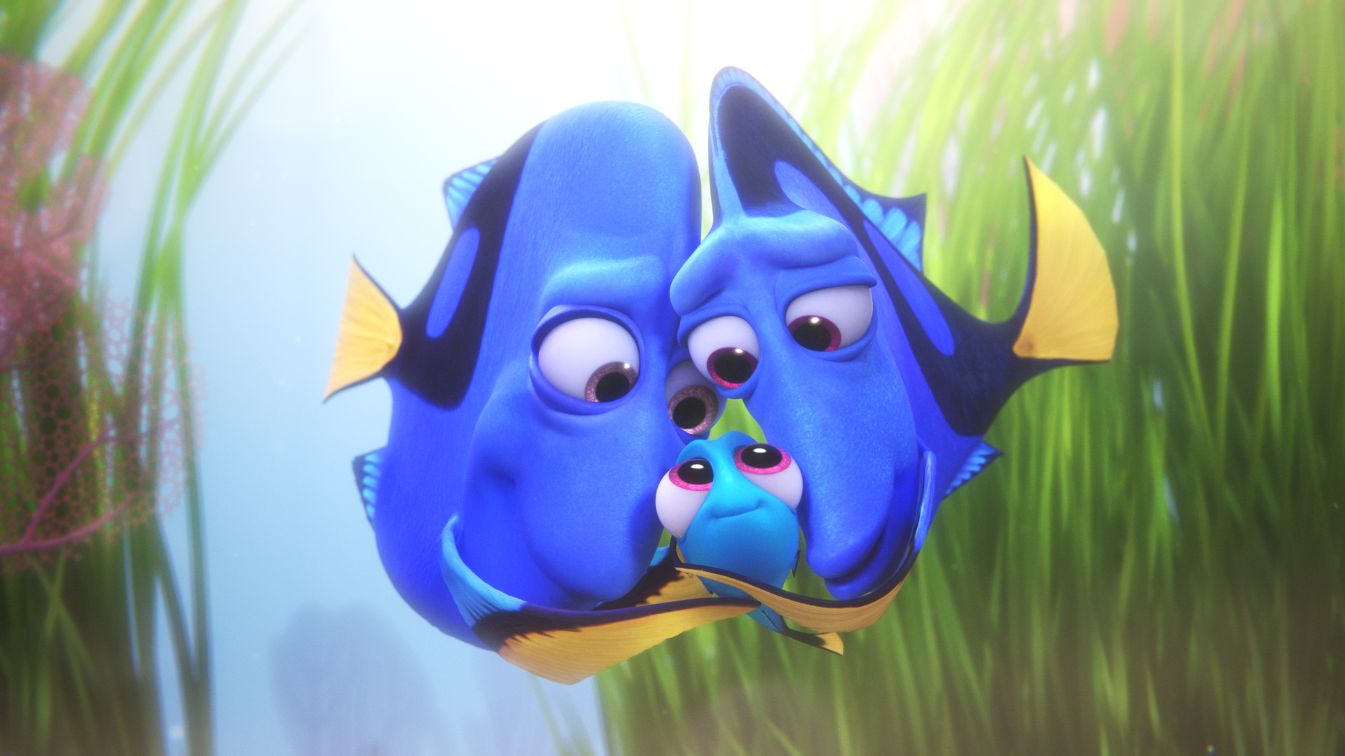 Dory from Finding Nemo HD Wallpaper