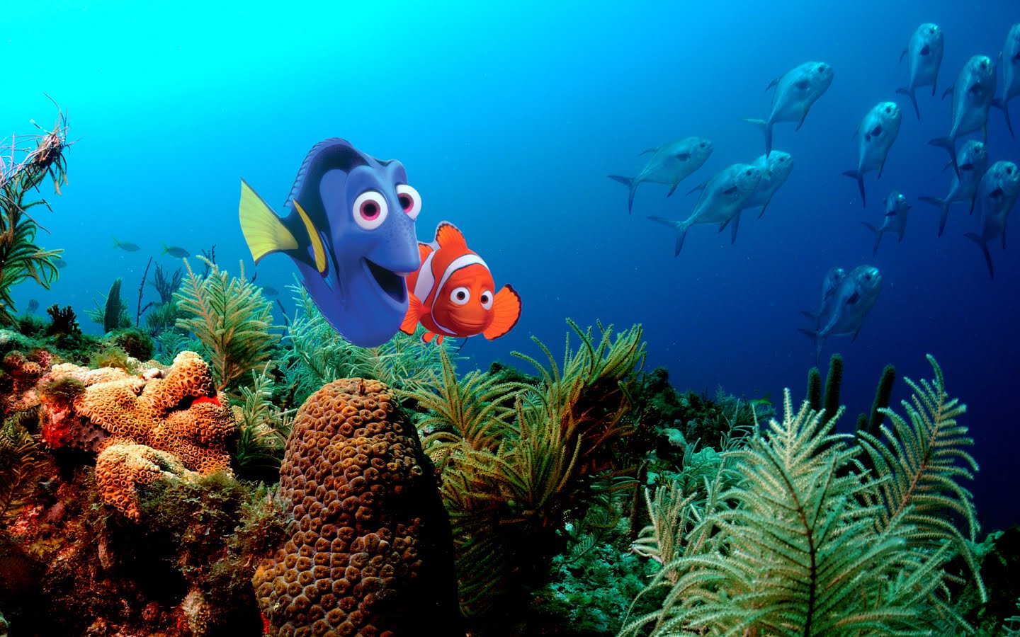 Dory and Nemo from Finding Nemo HD Wallpaper