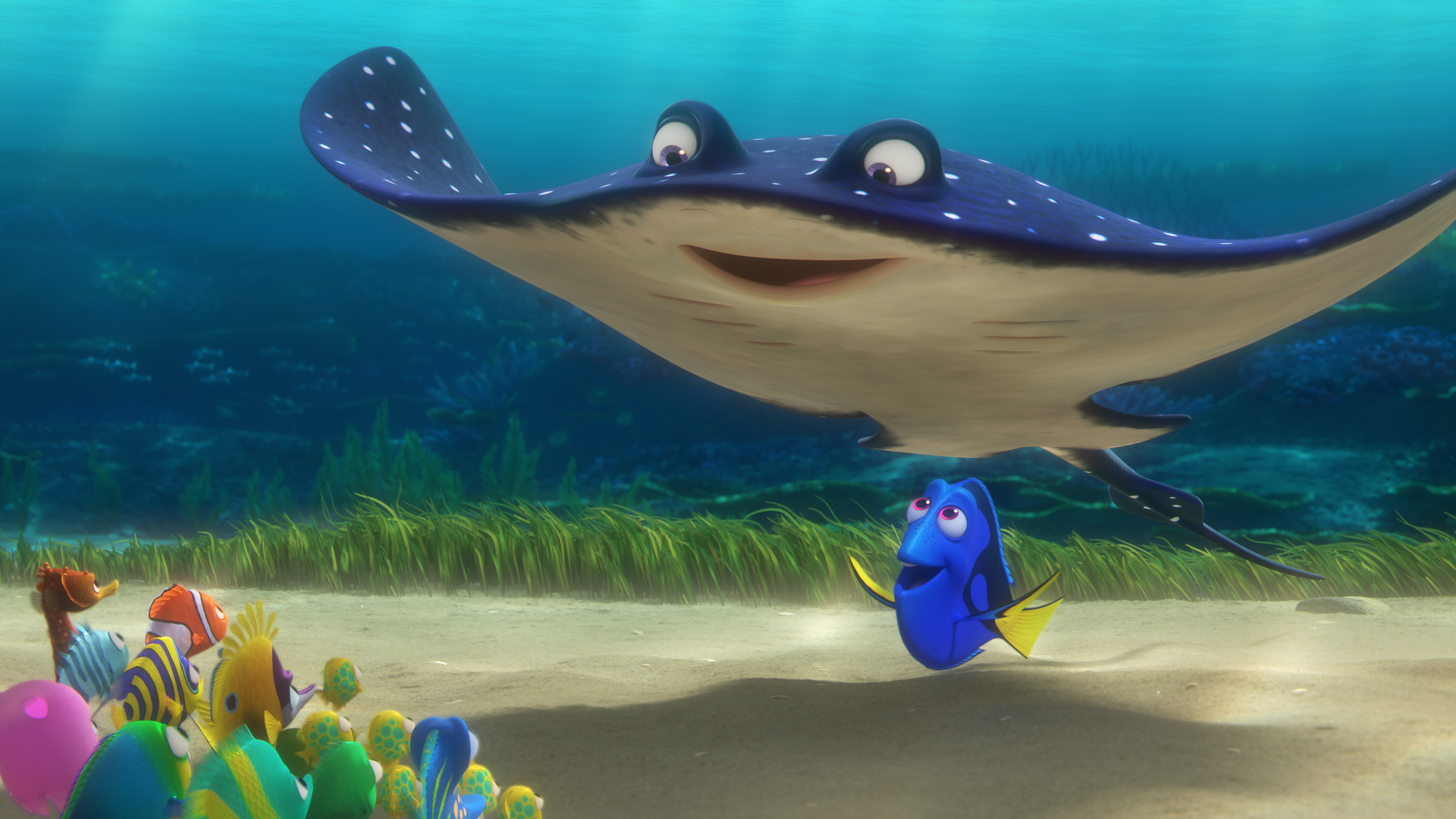 Dory and Mr. Ray from Finding Nemo HD Wallpaper