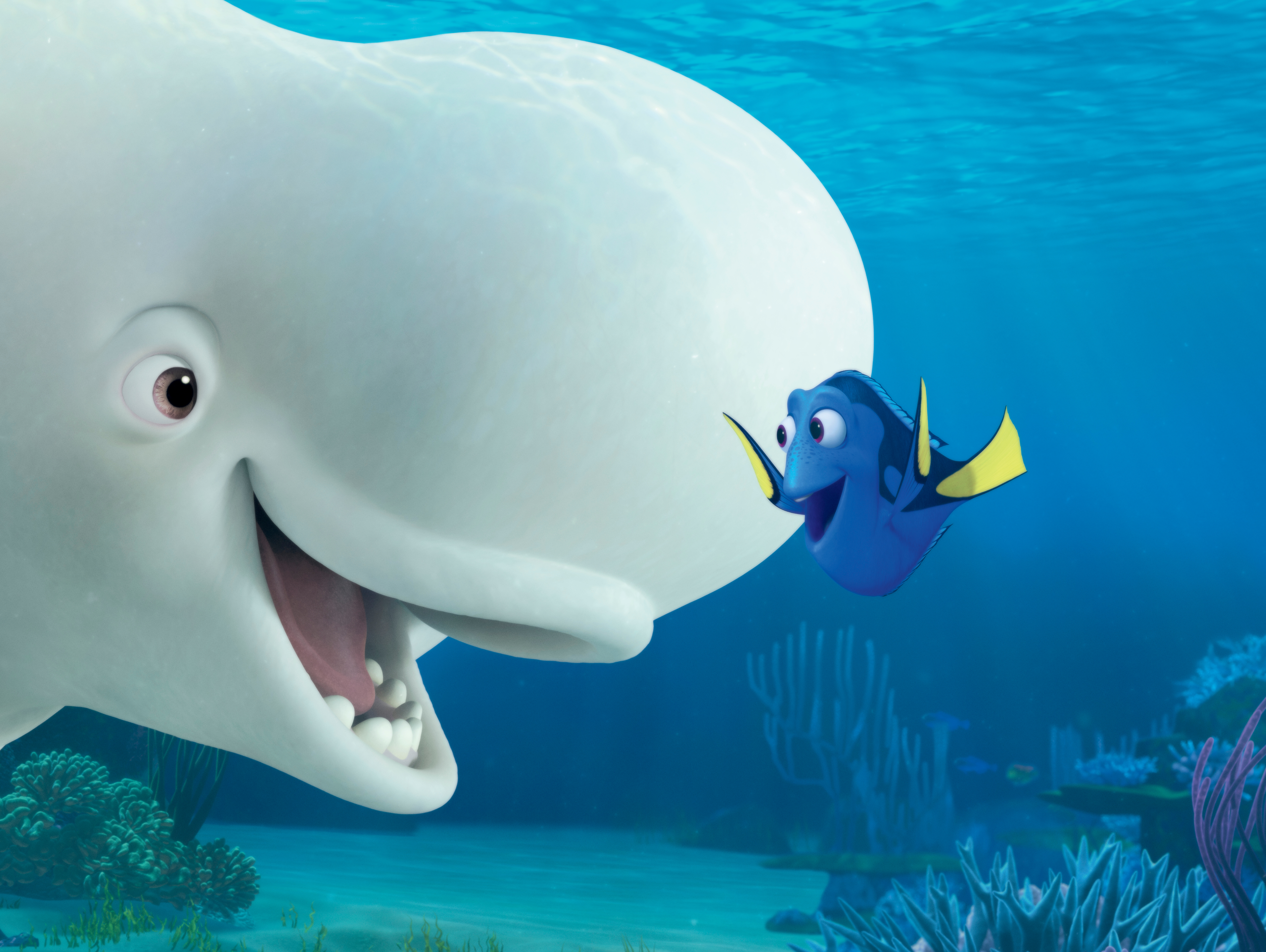 Dory from Finding Nemo with a Beluga Whale HD Wallpaper